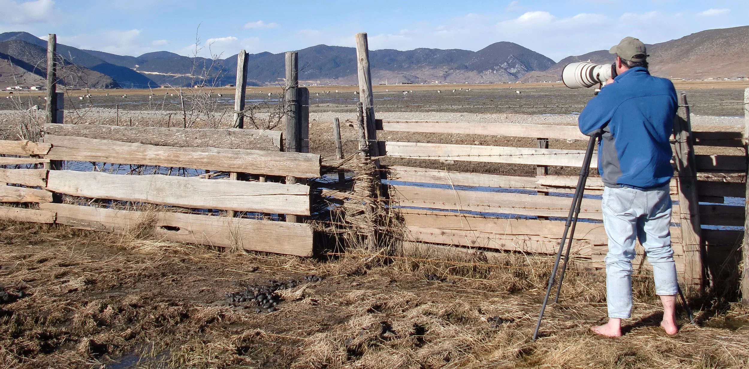 YUNNAN - NAPAHAI WETLANDS RESERVE (3).JPG