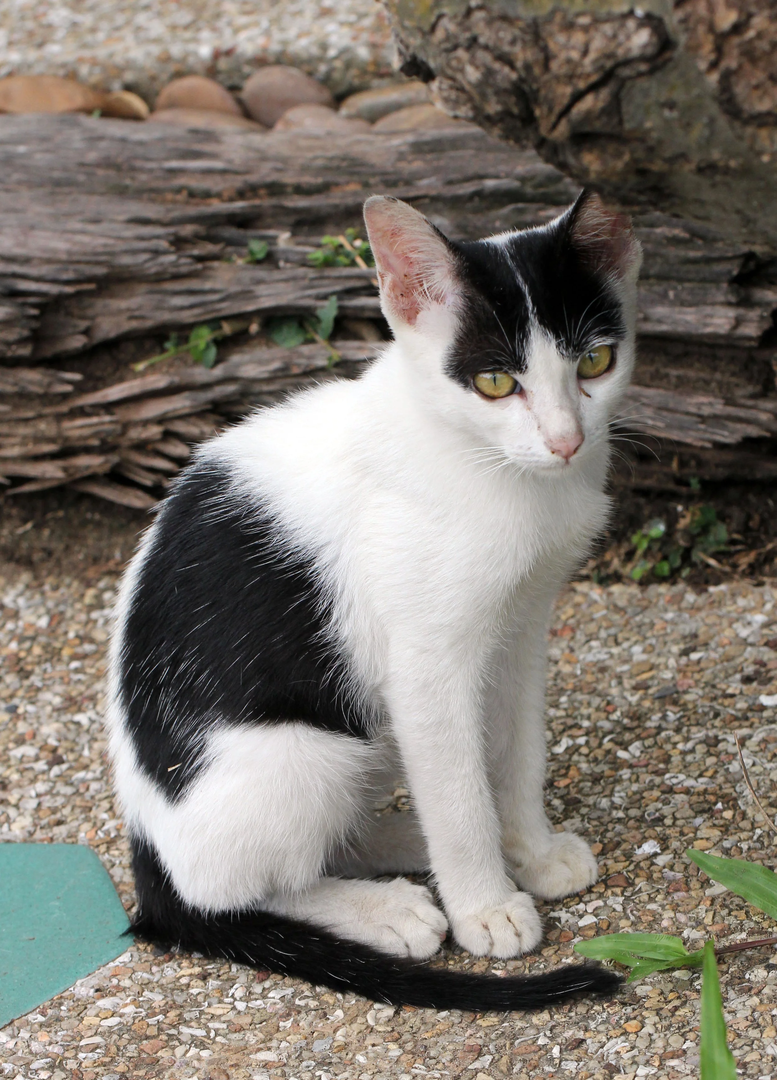 2013 Cha'am and Petchaburi with Family & Friends (45).JPG