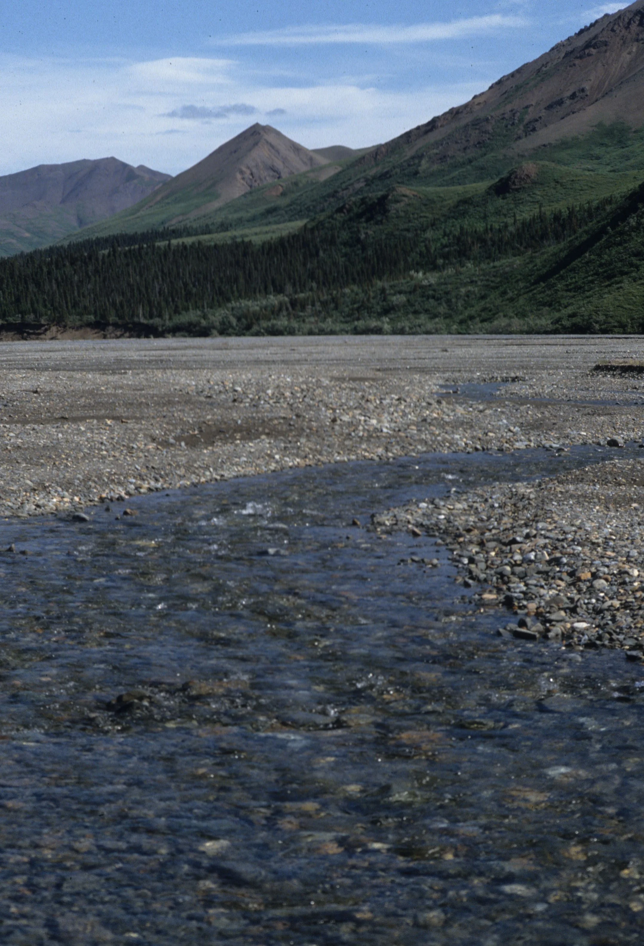 ALASKA - DENALI- STREAM.jpg