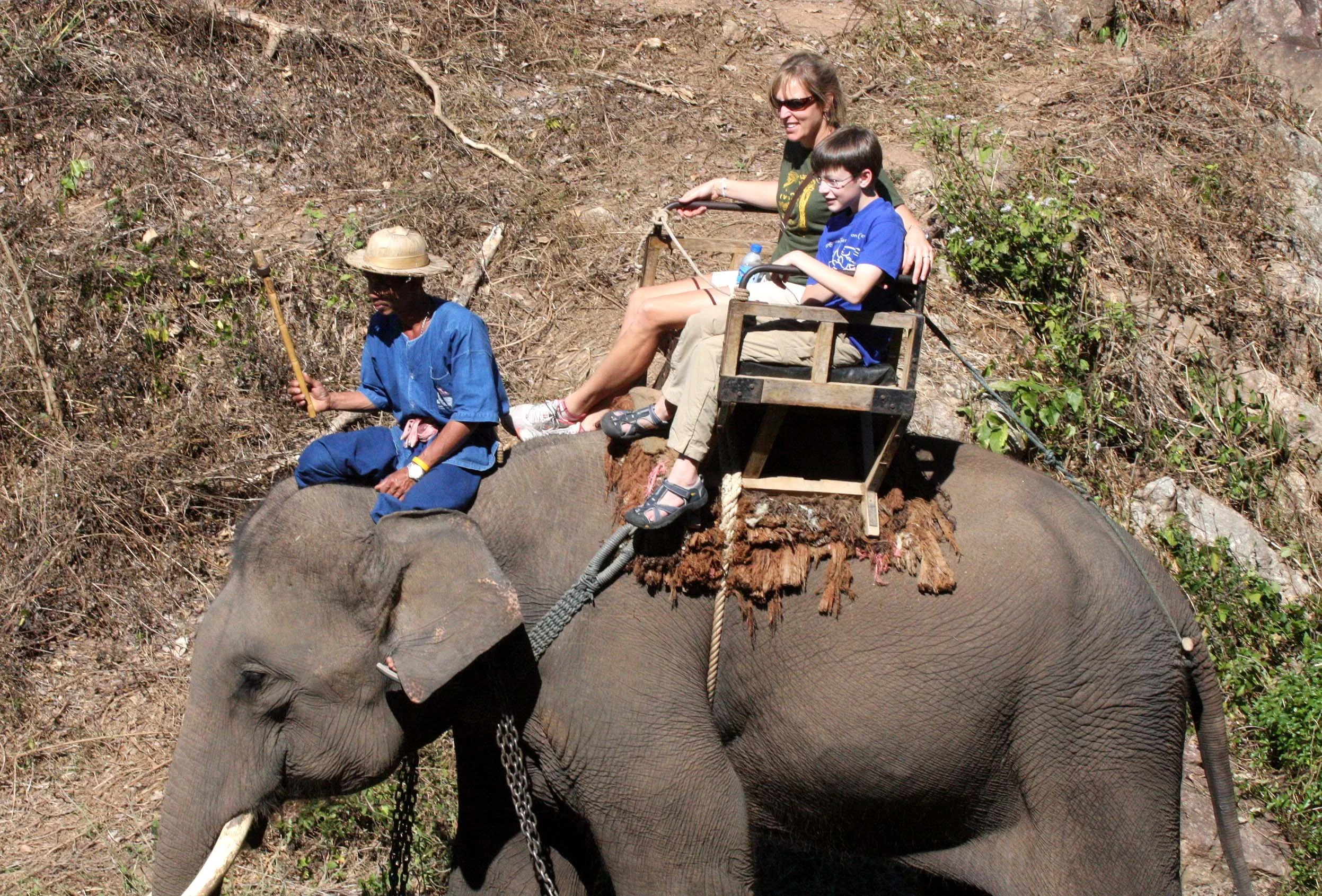 2008 Lampang City & Elephant Center (71).JPG