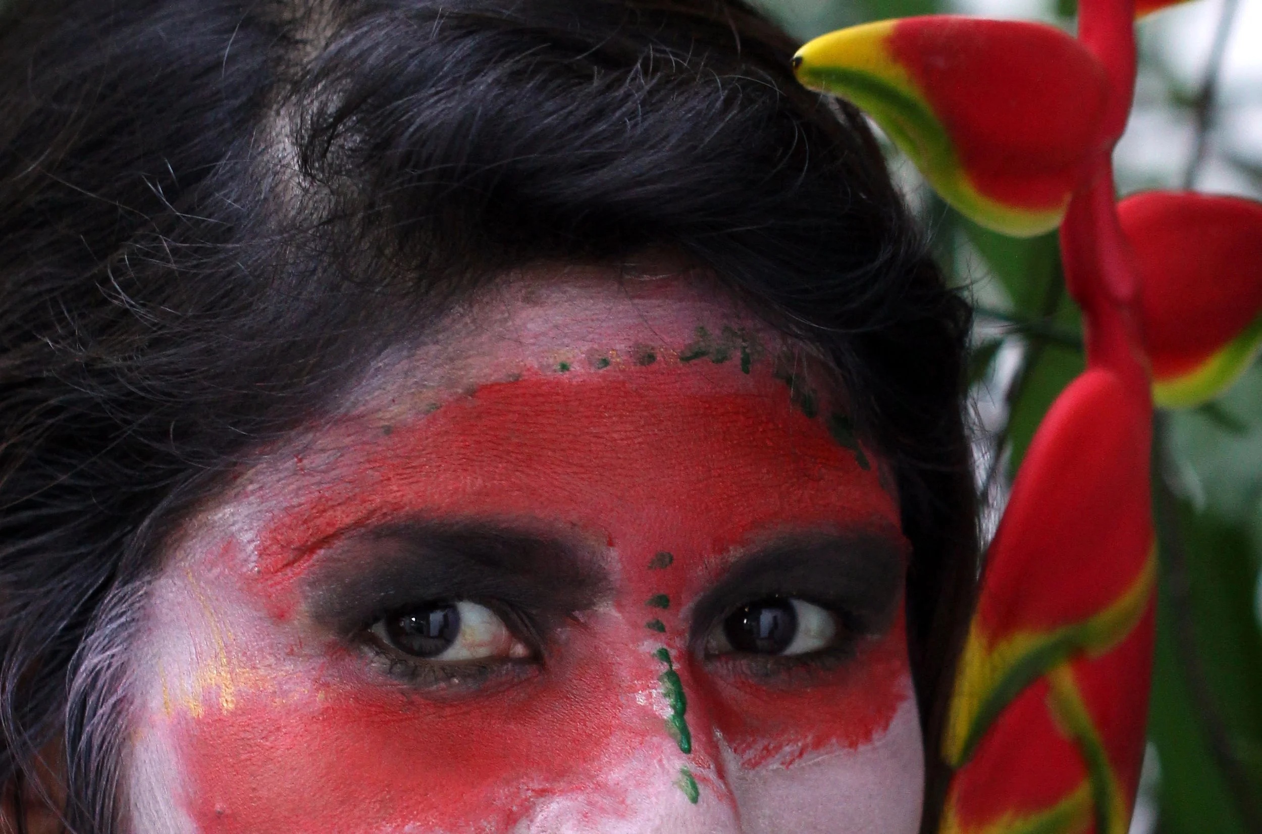 2015 Som's Painted Face (25).JPG