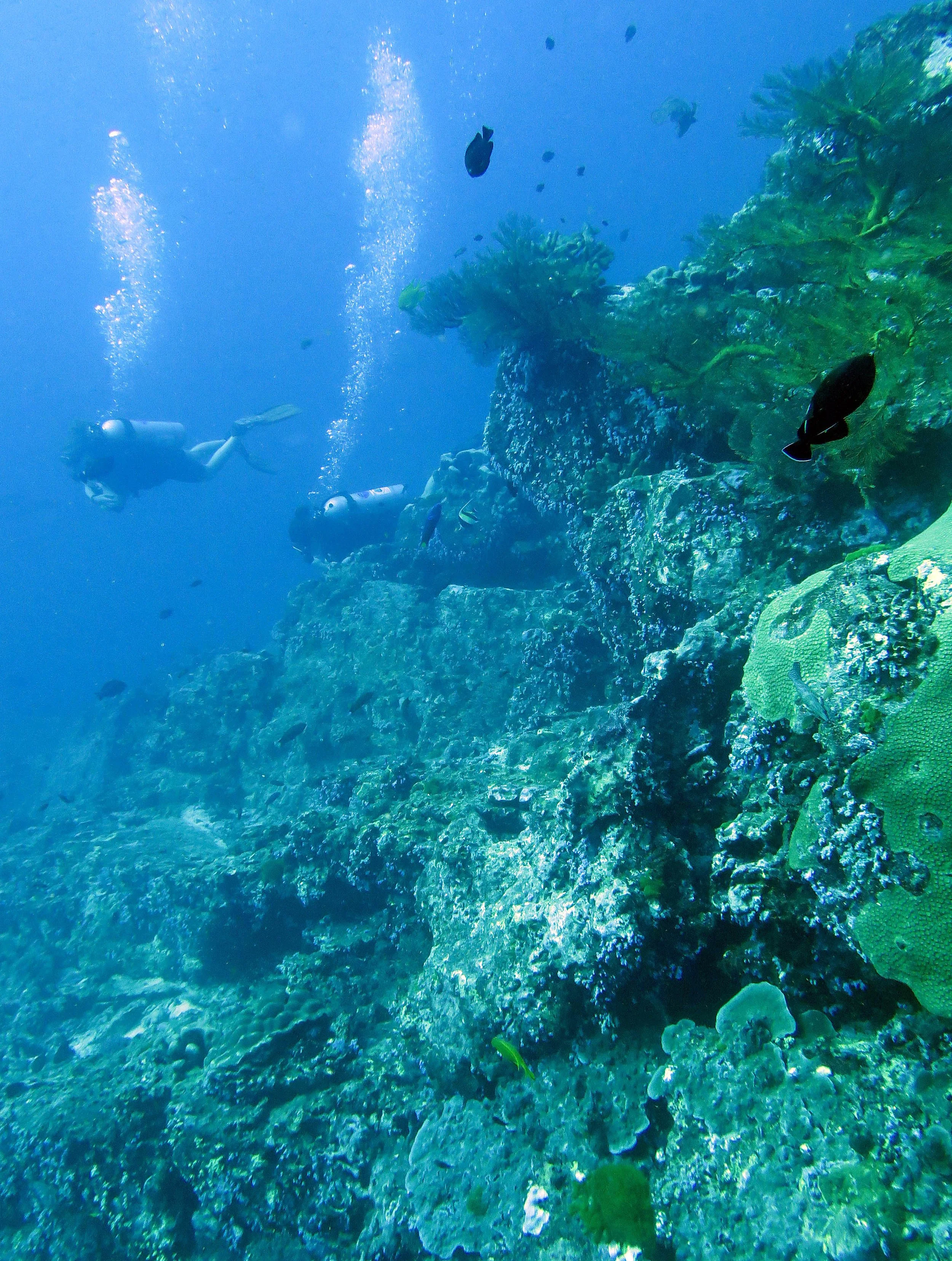 2014 Similan Islands Marine Park Thailand ISB Dive Trip (34).JPG