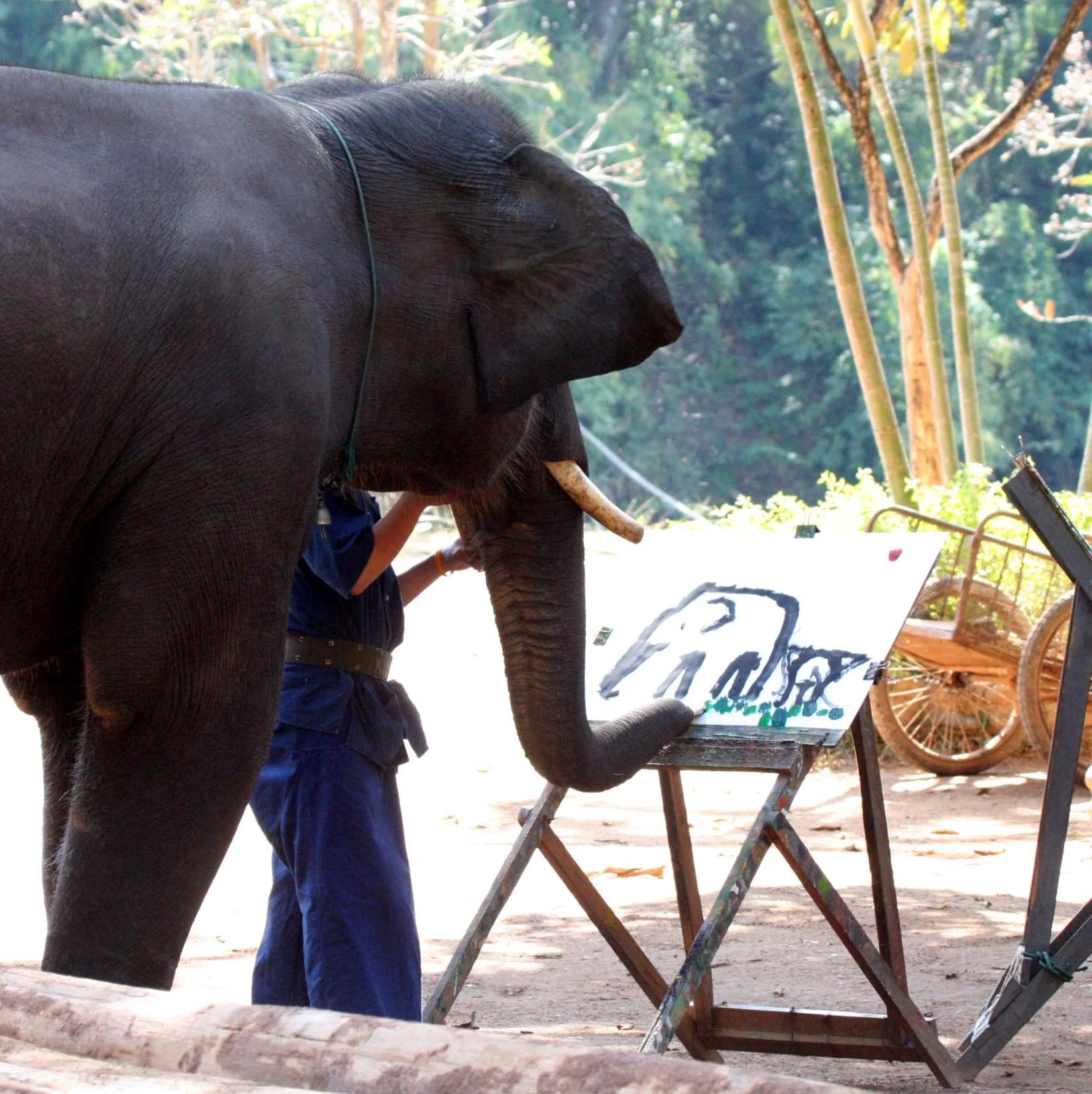 2008 Lampang City & Elephant Center (48).JPG