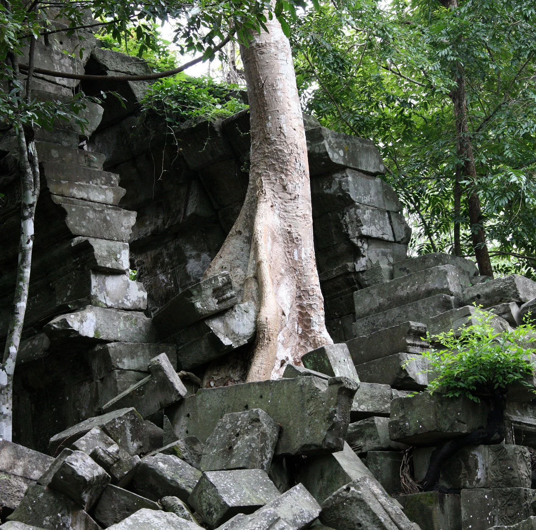 BENG MEALEA - CAMBODIA - JULY 2010 (64).JPG
