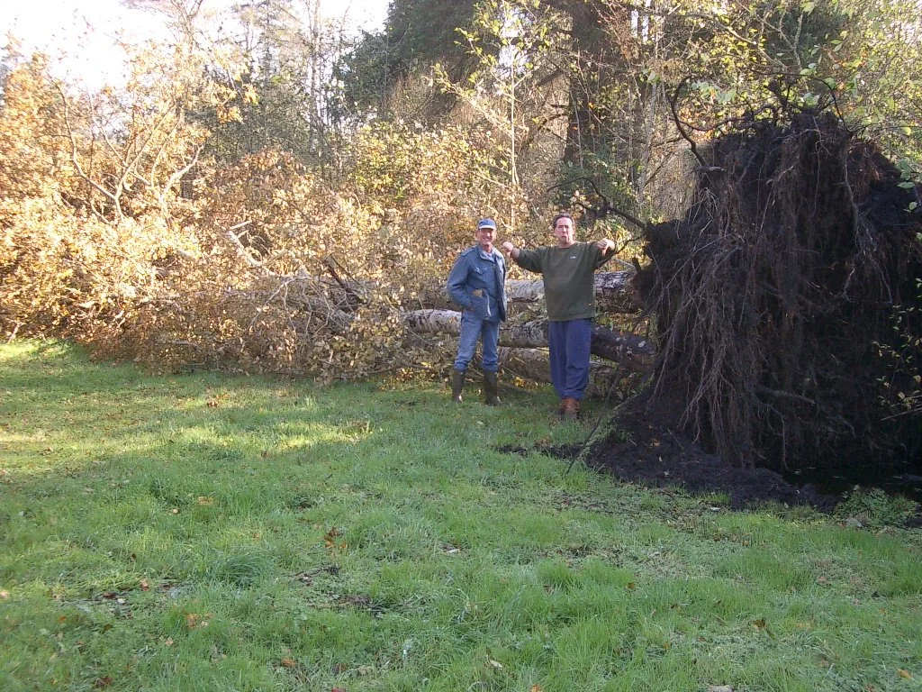 2003-11-2 HANGING IN OP.JPG