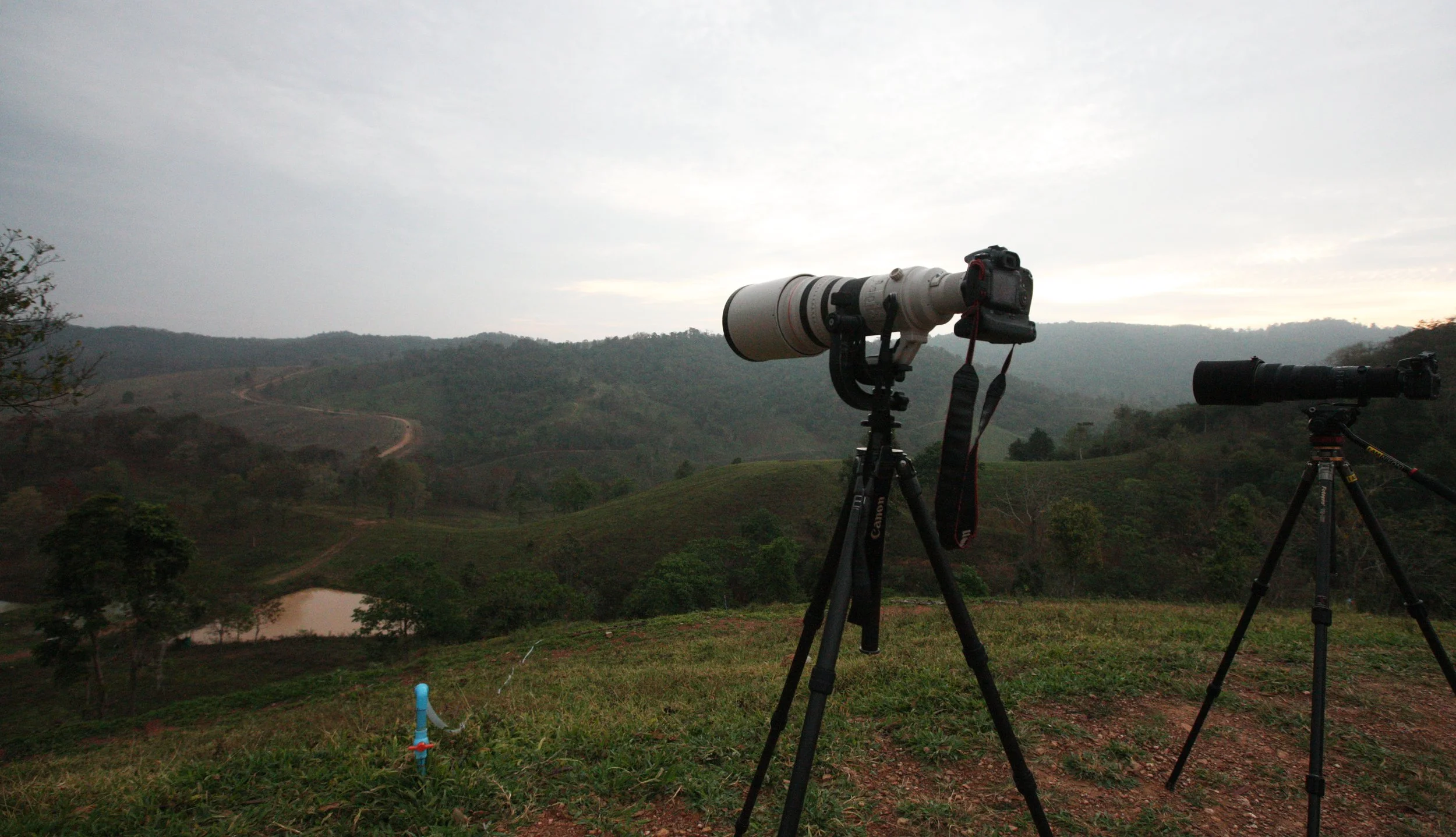2015 Khao Pang Ma Nonhunting Area (35).JPG