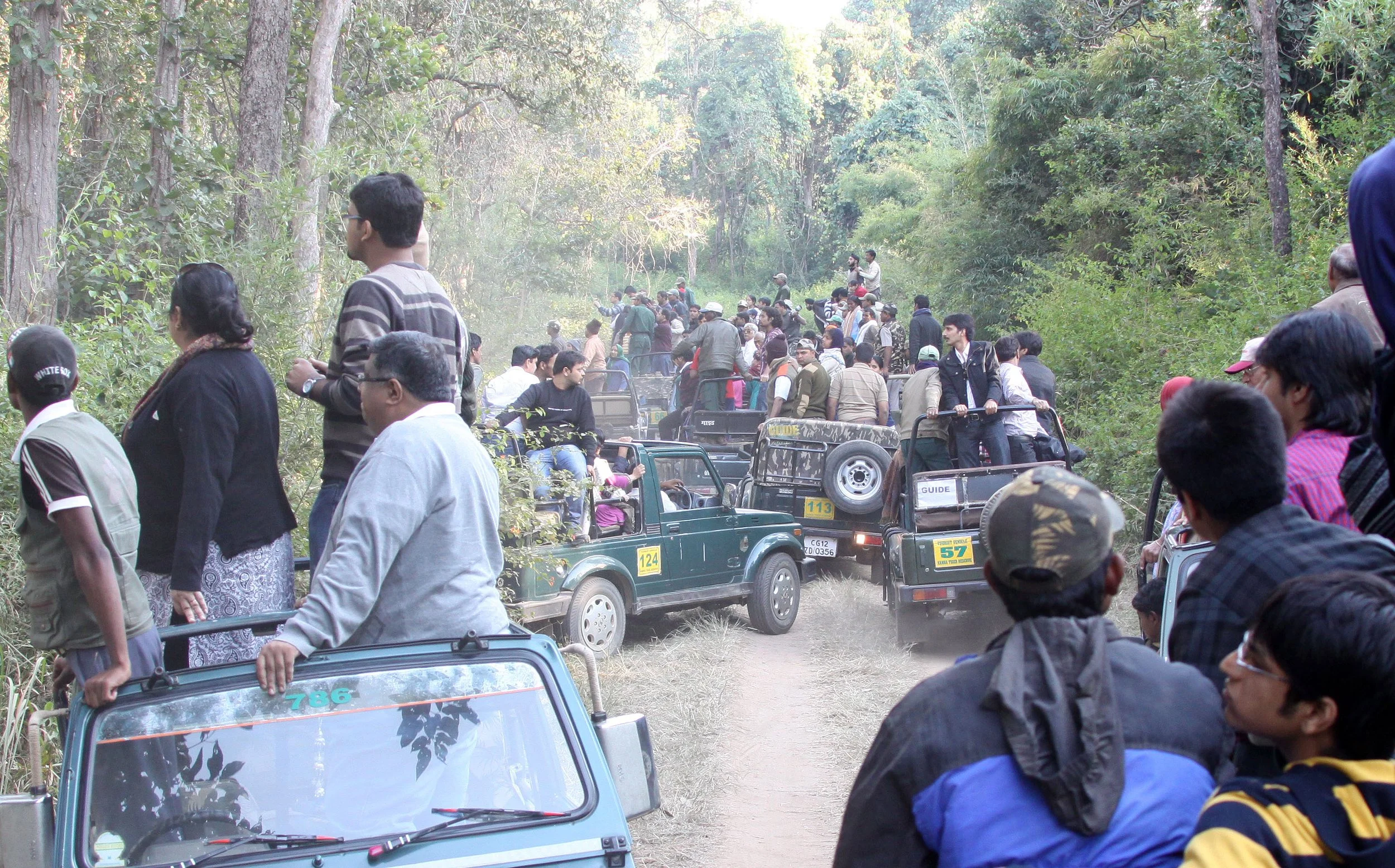 MADHYA PRADESH - KANHA NATIONAL PARK INDIA (2).JPG