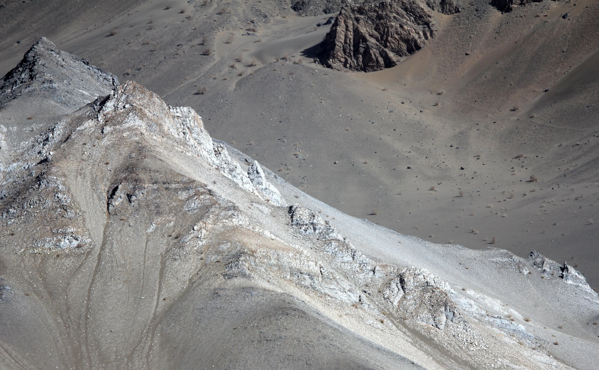 LOP NUR WILD BACTRIAN CAMEL RESERVE - XINJIANG CHINA (142).JPG