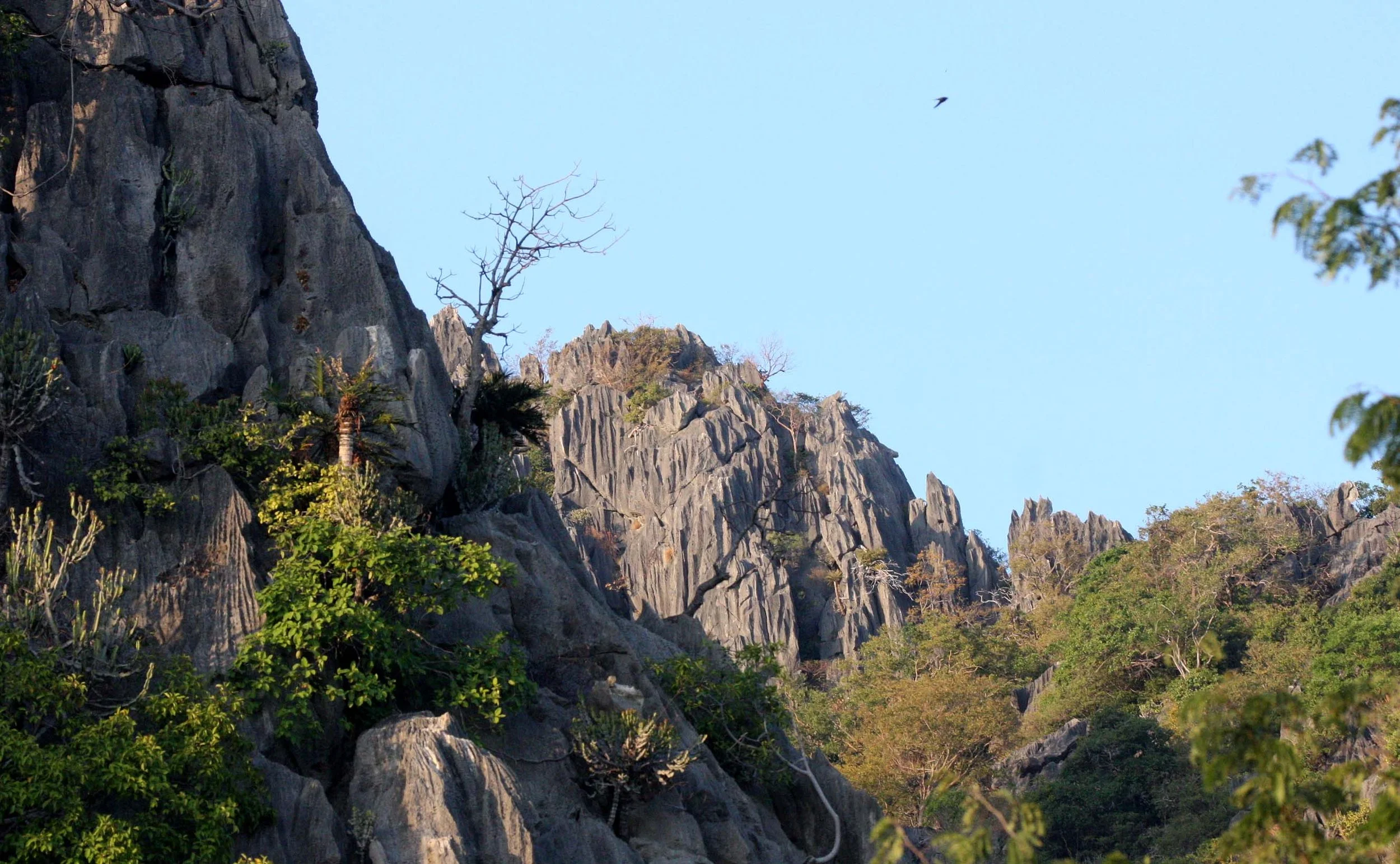 KHAO SAM ROI YOT THAILAND - 2009 (15).JPG