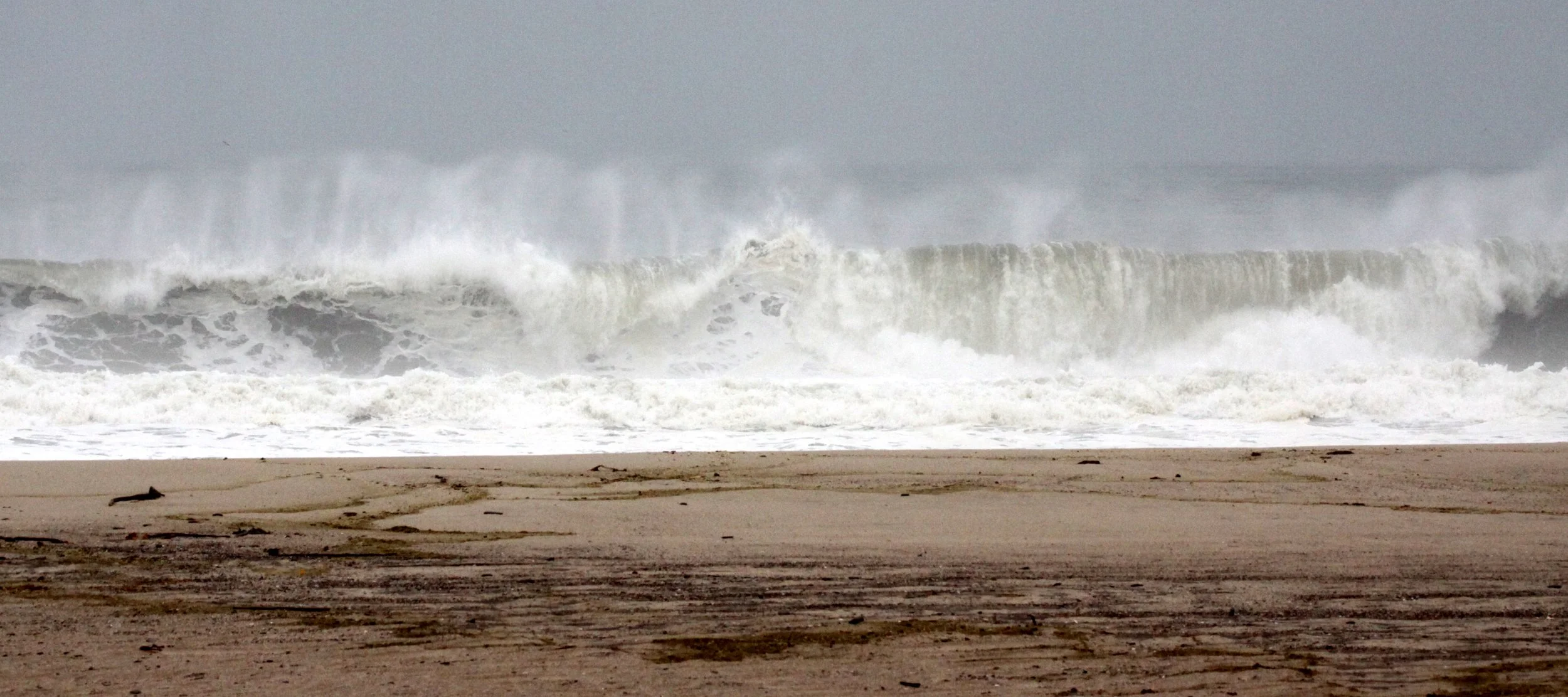 NAMIBIA - SKELETON COAST NATIONAL PARK - SCENERY (14).JPG