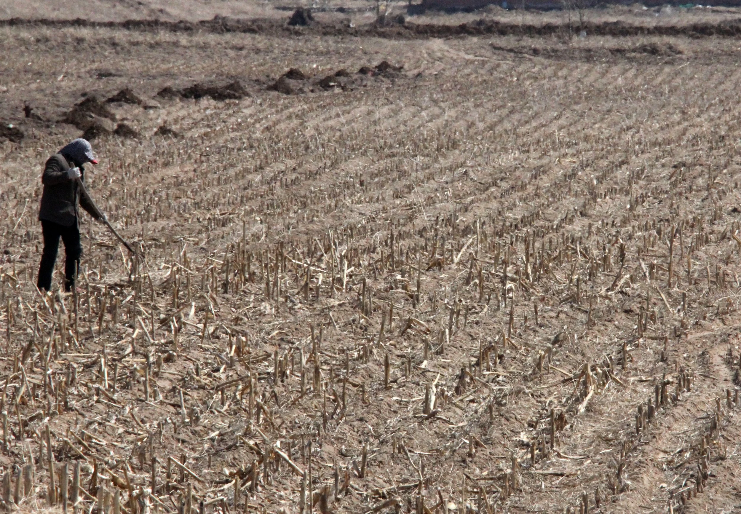 INNER MONGOLIA 2013 (812).JPG