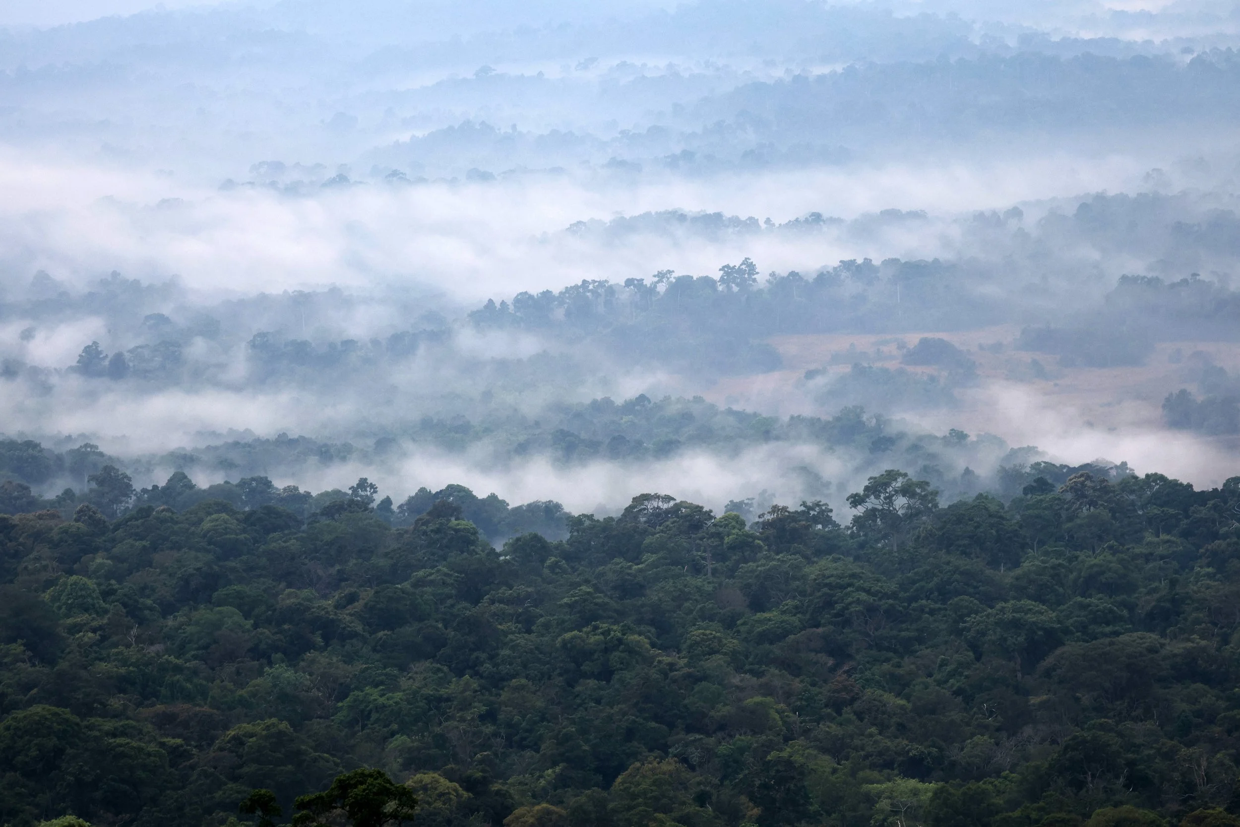 Khao Yai National Park Feb 2026 Day 2 (374).jpg