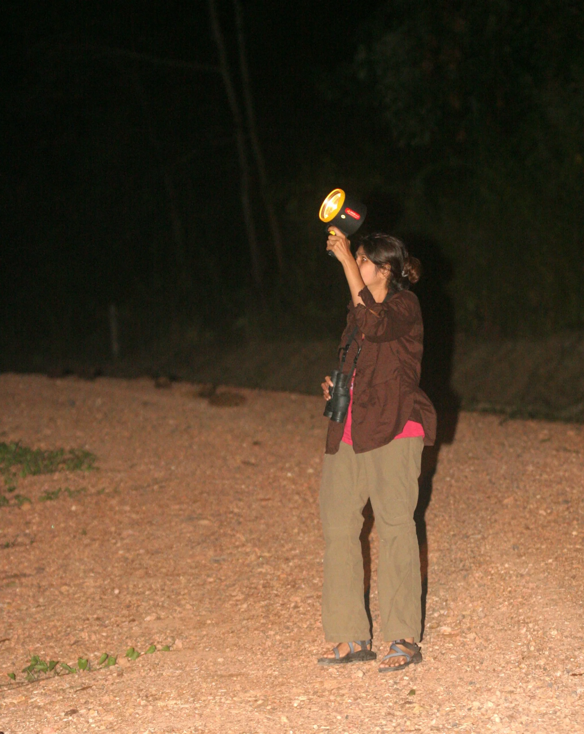 TABIN WILDLIFE RESERVE BORNEO - NIGHT SPOTLIGHTING - TABIN WILDLIFE RESERVE BORNEO.JPG