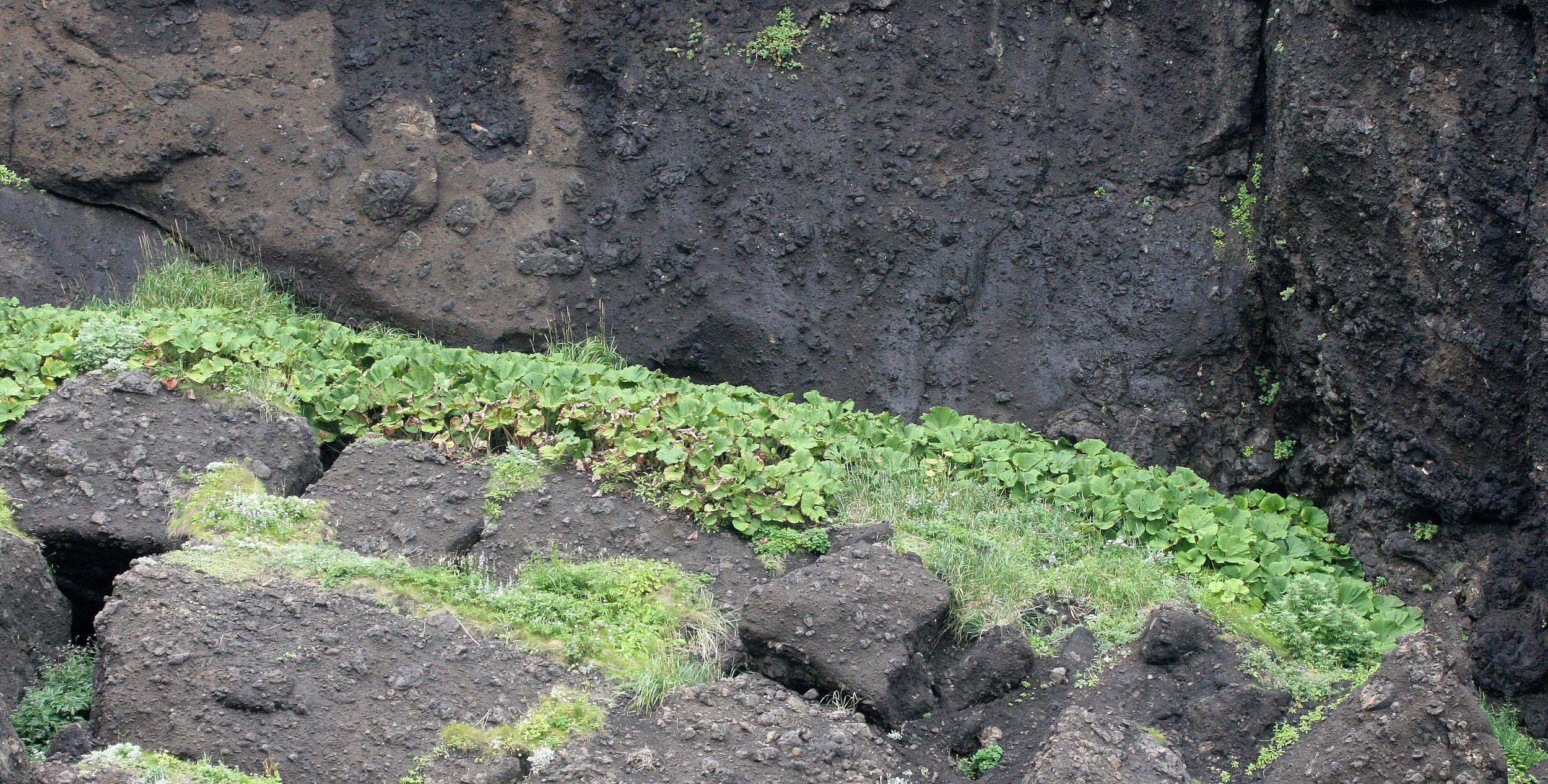 KURIL ISLANDS - VIEWS LANDSCAPES AND GEOLOGY (152).jpg