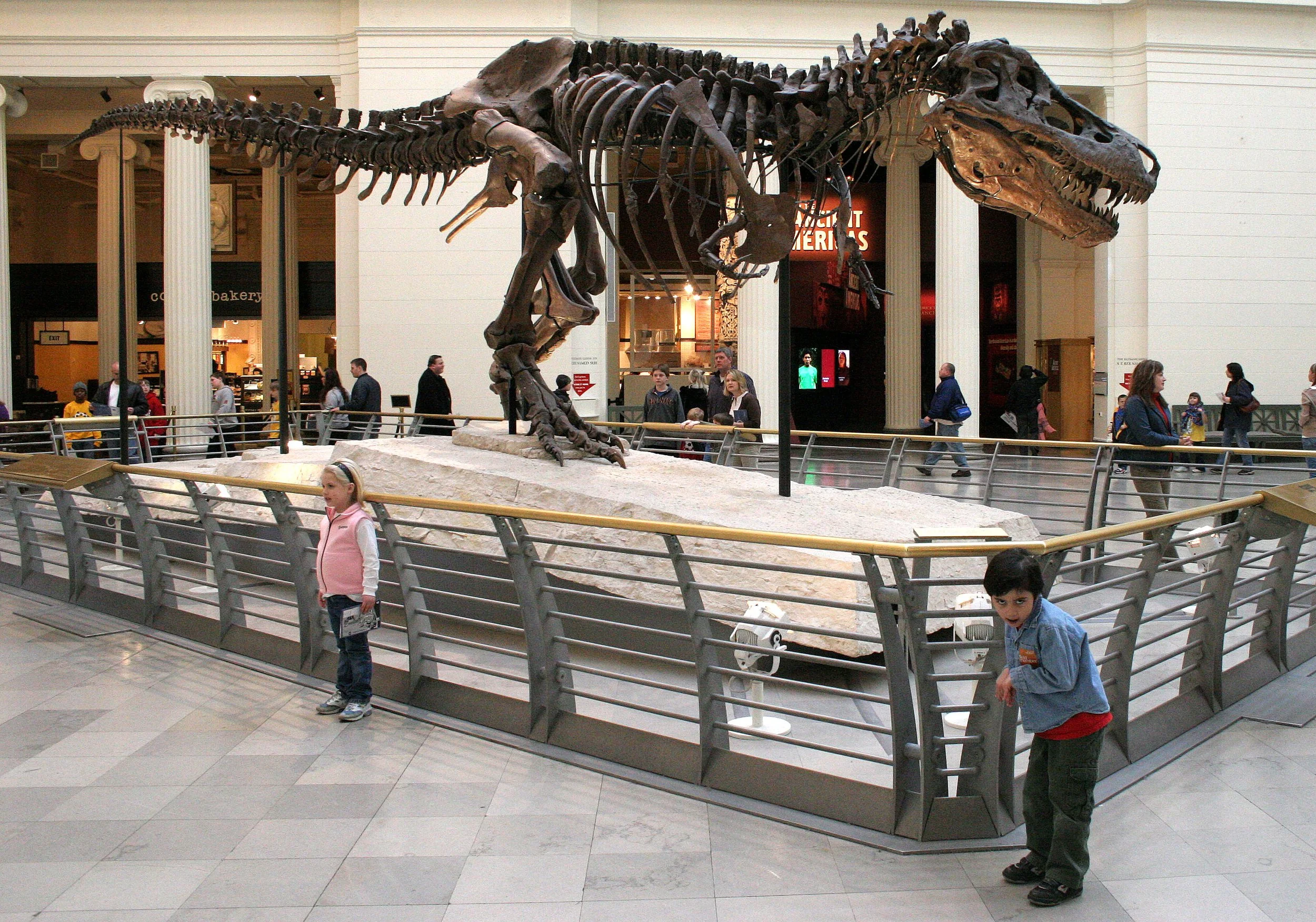 2008-3-28 CHICAGO SPRING BREAK TRIP (17).JPG