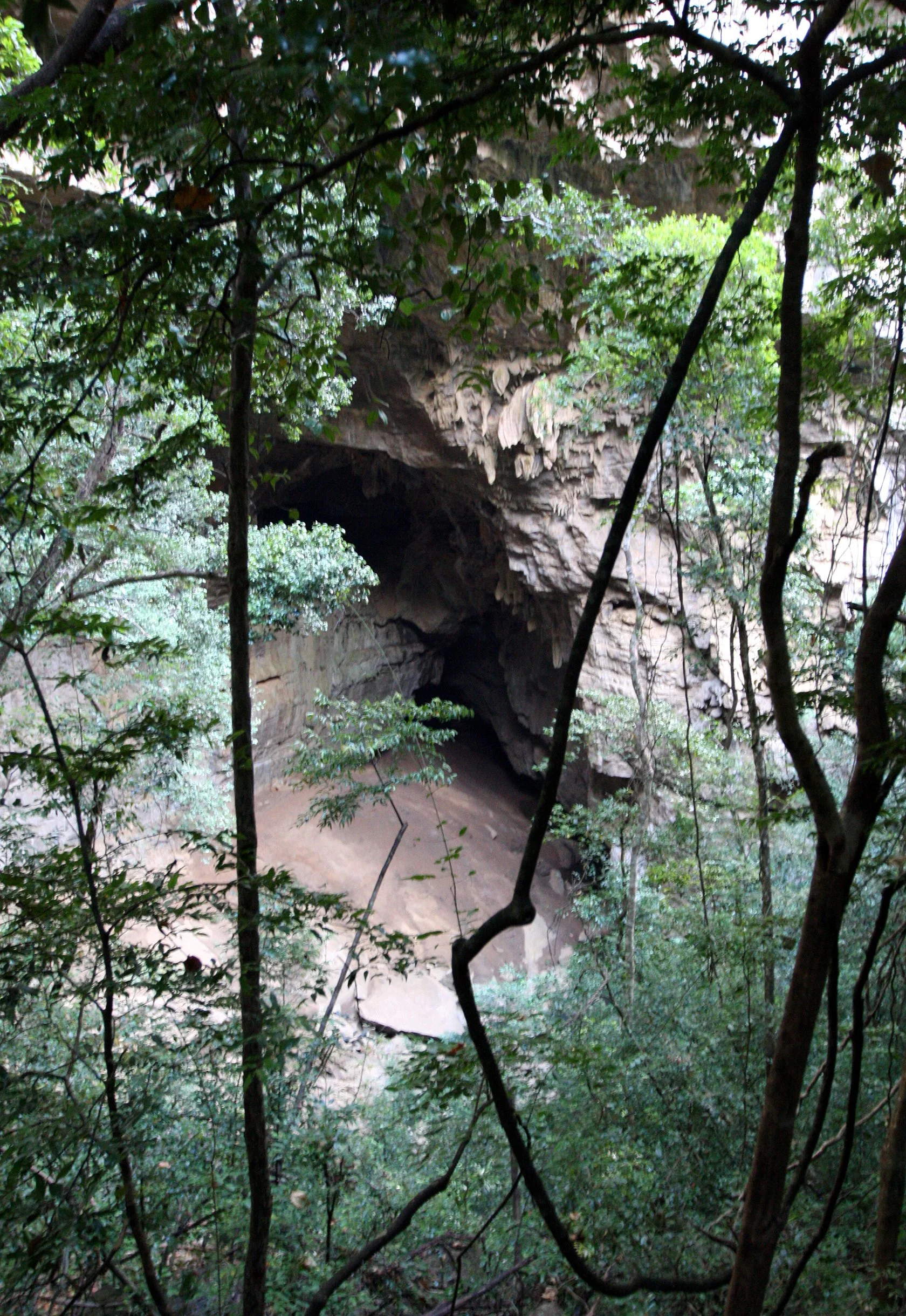 ANKARANA NATIONAL PARK MADAGASCAR - GIANT BAT CAVE (2).JPG