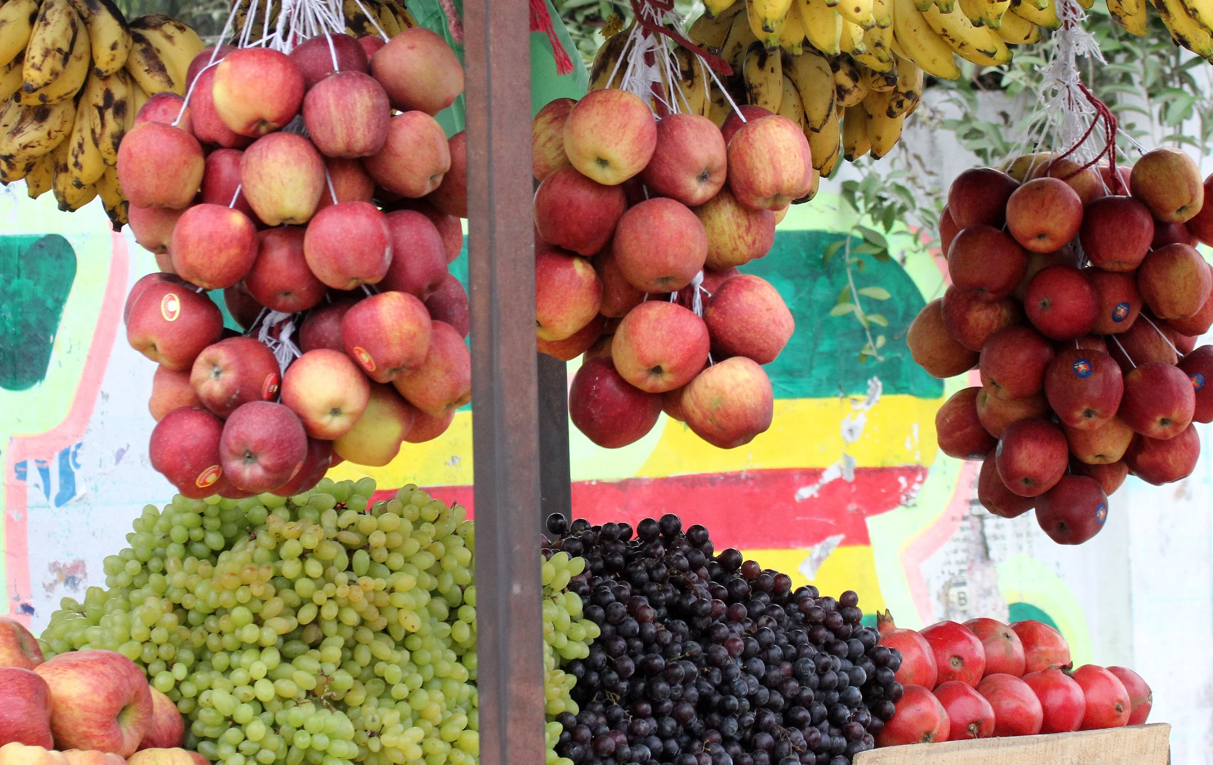 CHINNAR NATIONAL PARK TAMIL NADU INDIA (15).JPG