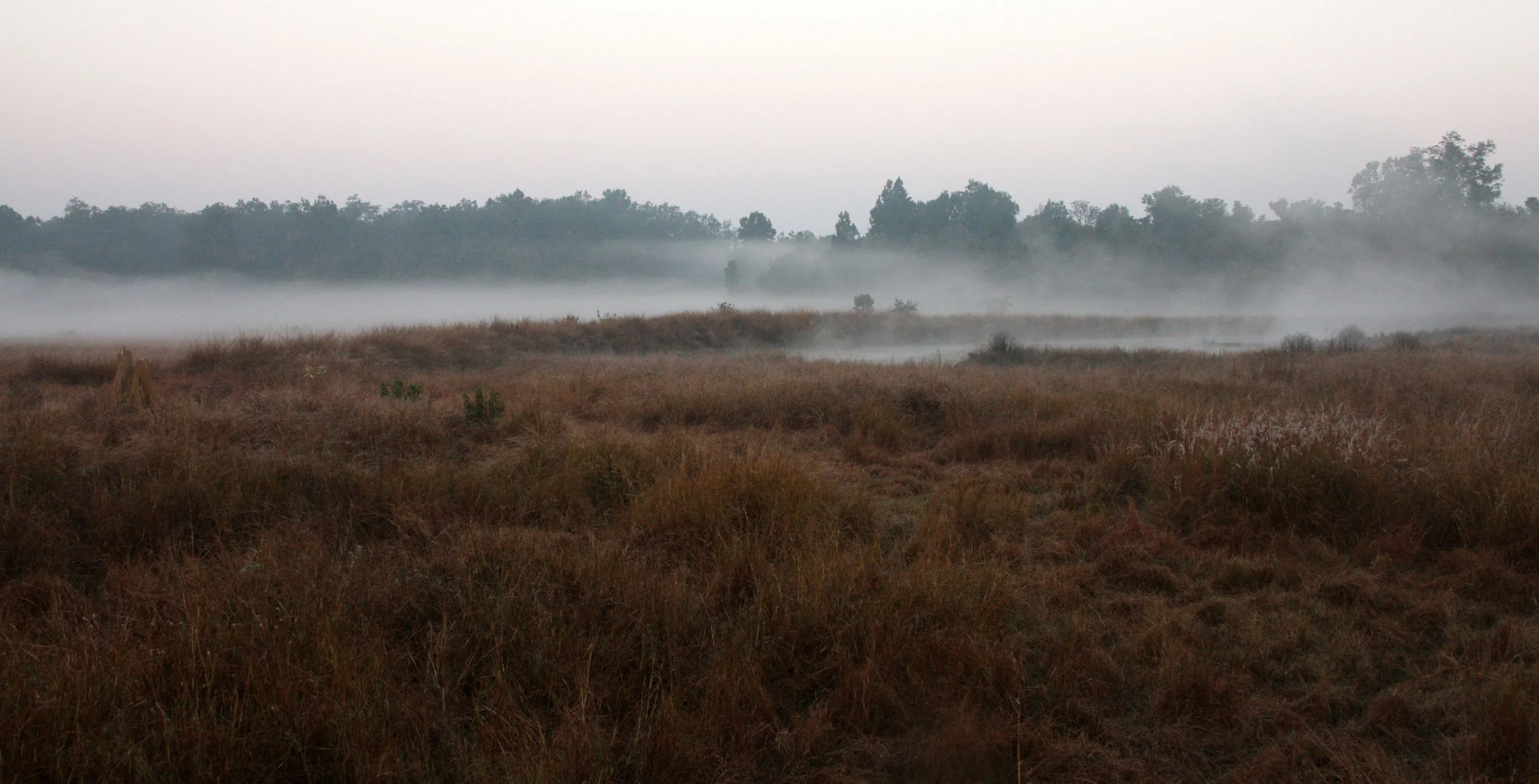 MADHYA PRADESH - KANHA NATIONAL PARK MADHYA PRADESH INDIA (1).JPG