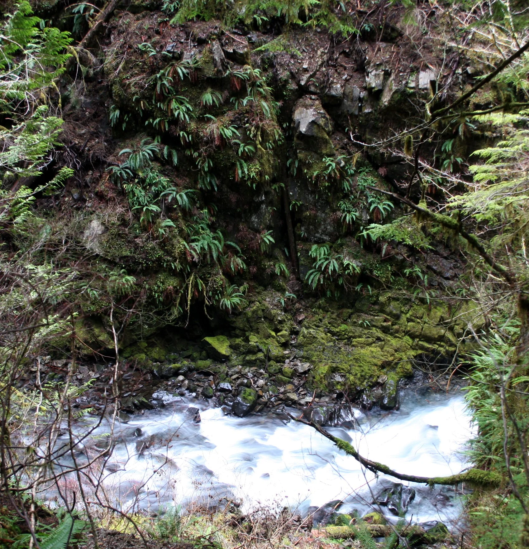 SOL DUC FALLS AND FOREST - ONP WA (75).JPG