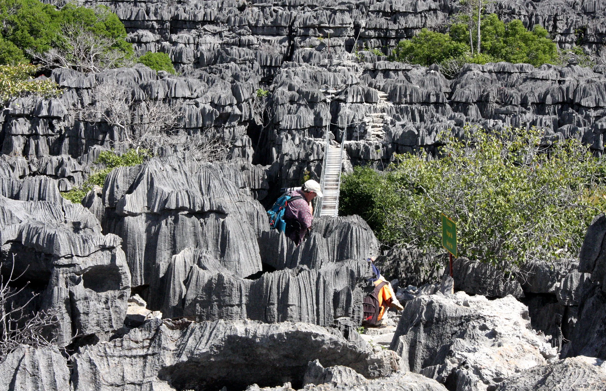 ANKARANA NATIONAL PARK MADAGASCAR - TSINGY FOREST (7).JPG
