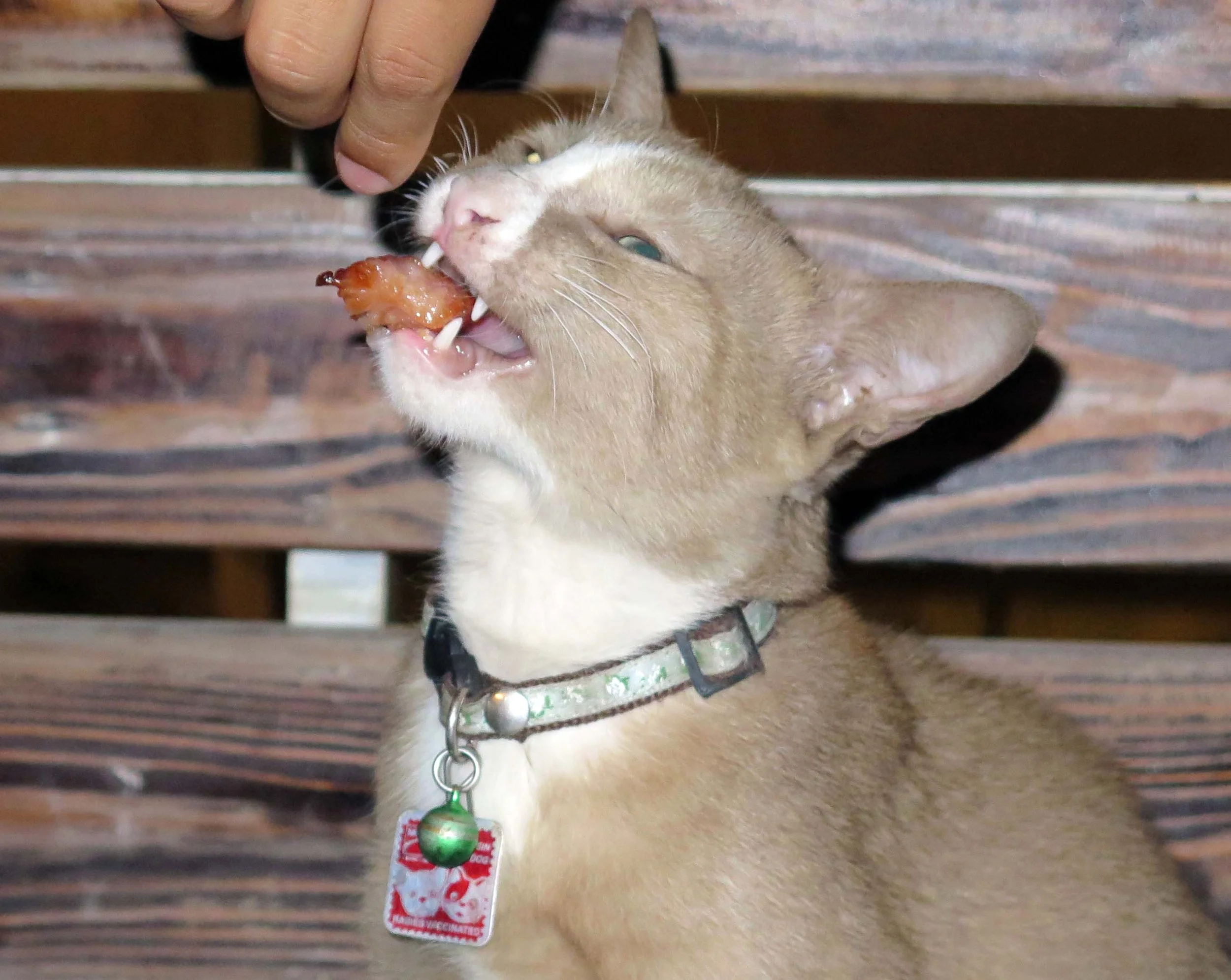 2013 - BANGKOK - NOVEMBER 2013 - MARCH 2014 (38).JPG