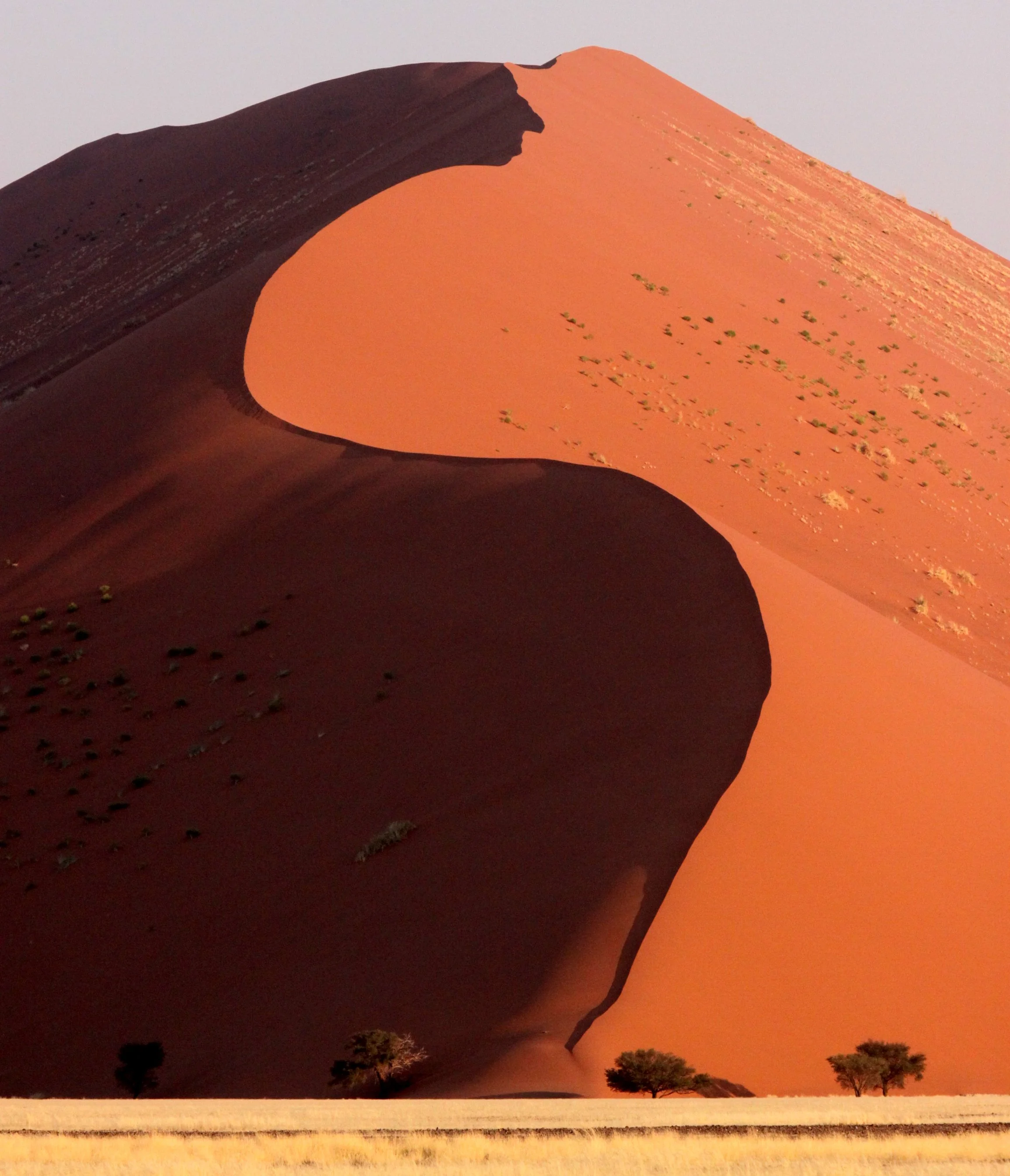 SOSSUSVLEI, NAMIB NAUKLUFT NATIONAL PARK, NAMIBIA (69).JPG