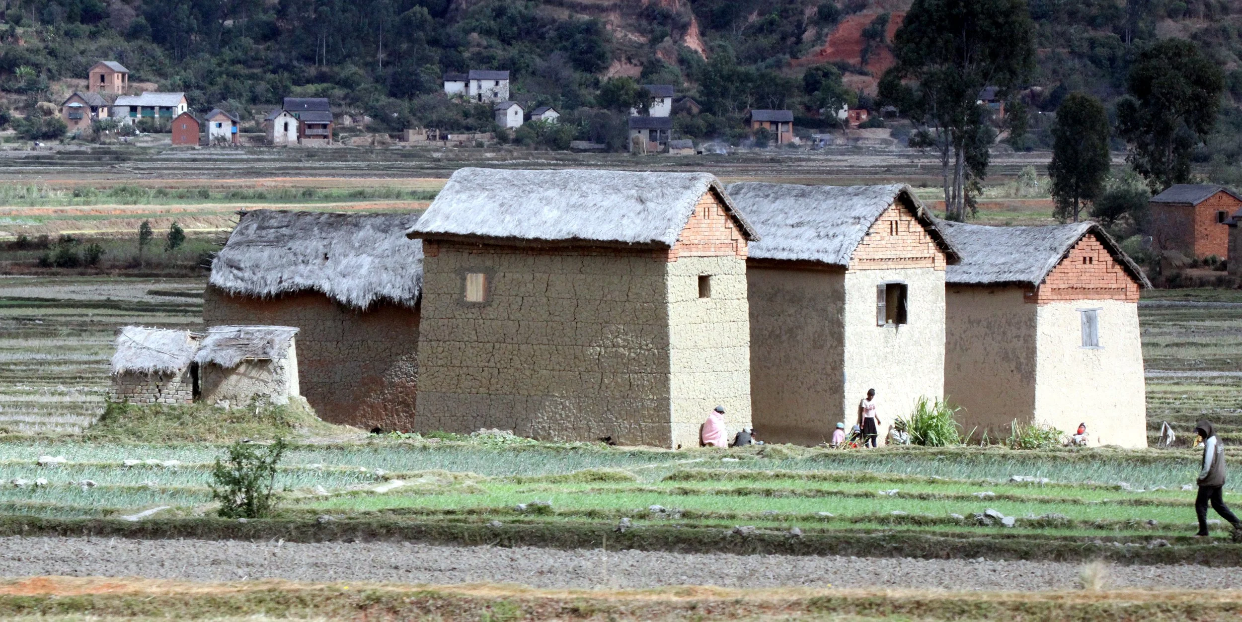 CENTRAL HIGHLANDS - ROAD TO RANOMAFANA (59).JPG