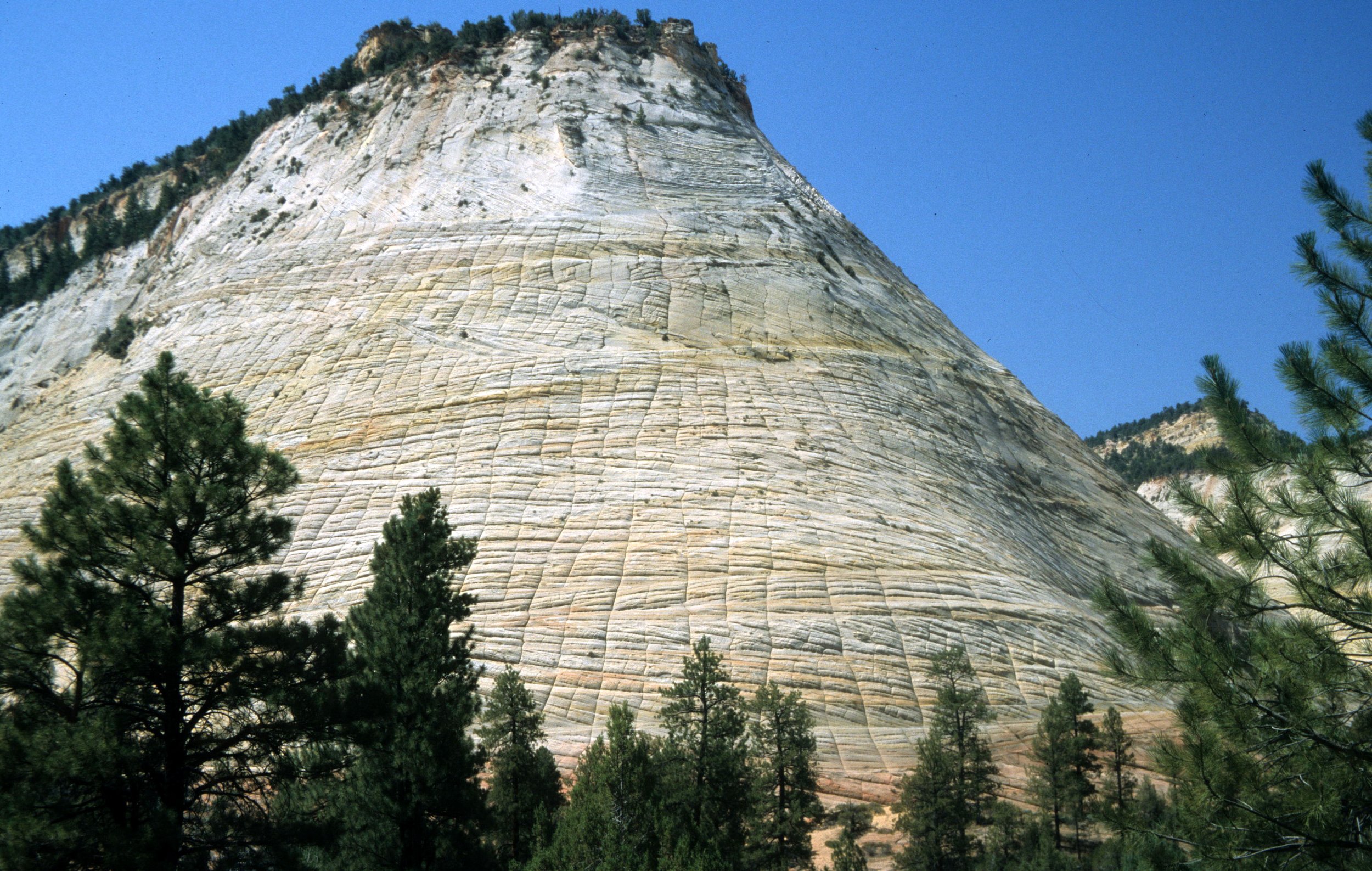 UTAH - ZION - CHECKERBOARD MESA A.jpg