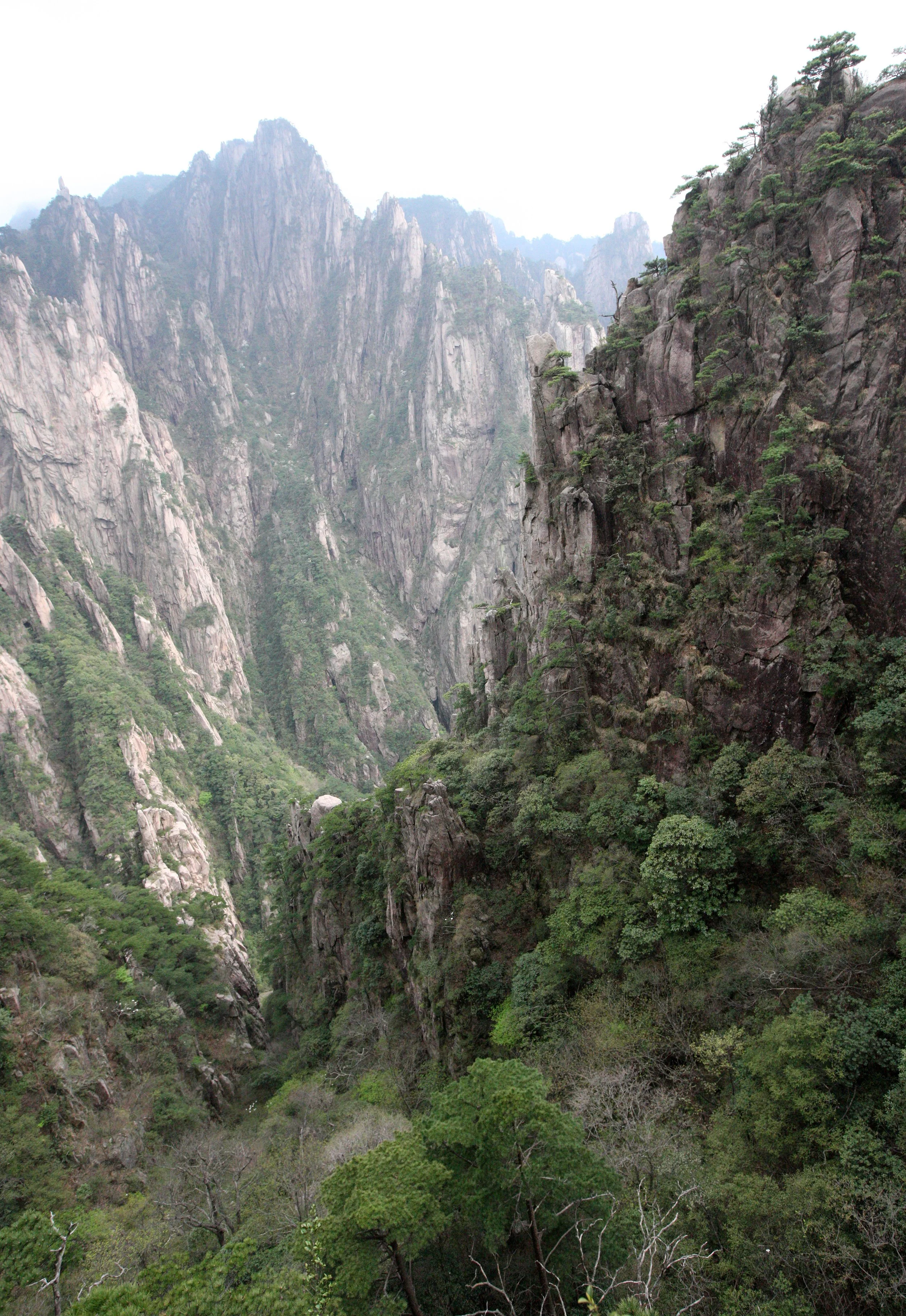 HUANGSHAN NATIONAL PARK ANHUI PROVINCE CHINA (168).JPG