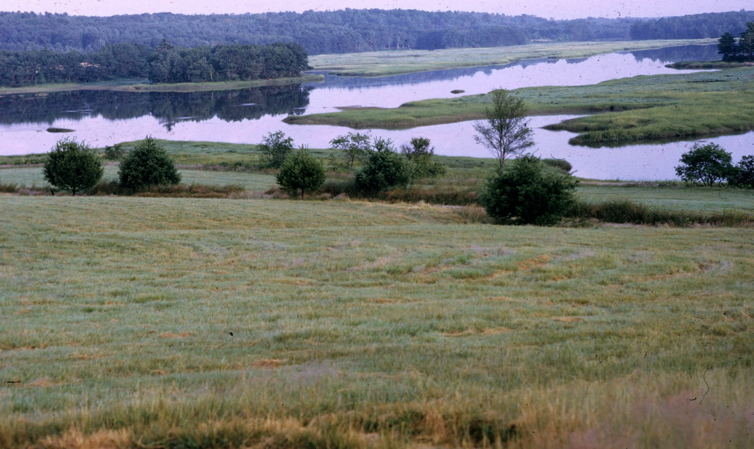 1972 - SUMMER TRIP - MASS - CAMPSITE.jpg