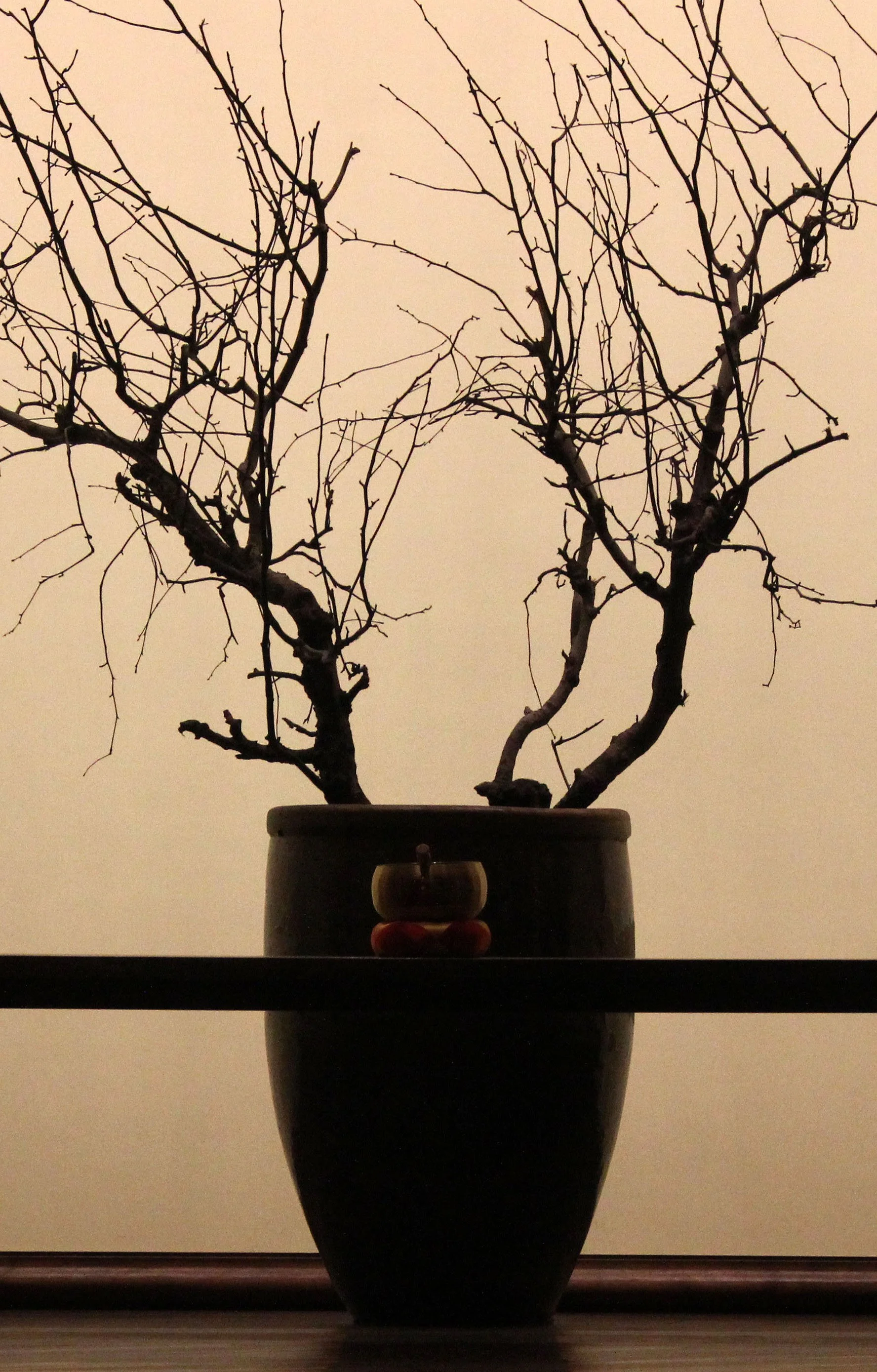 LING SHAN - WUXI CHINA (104).JPG