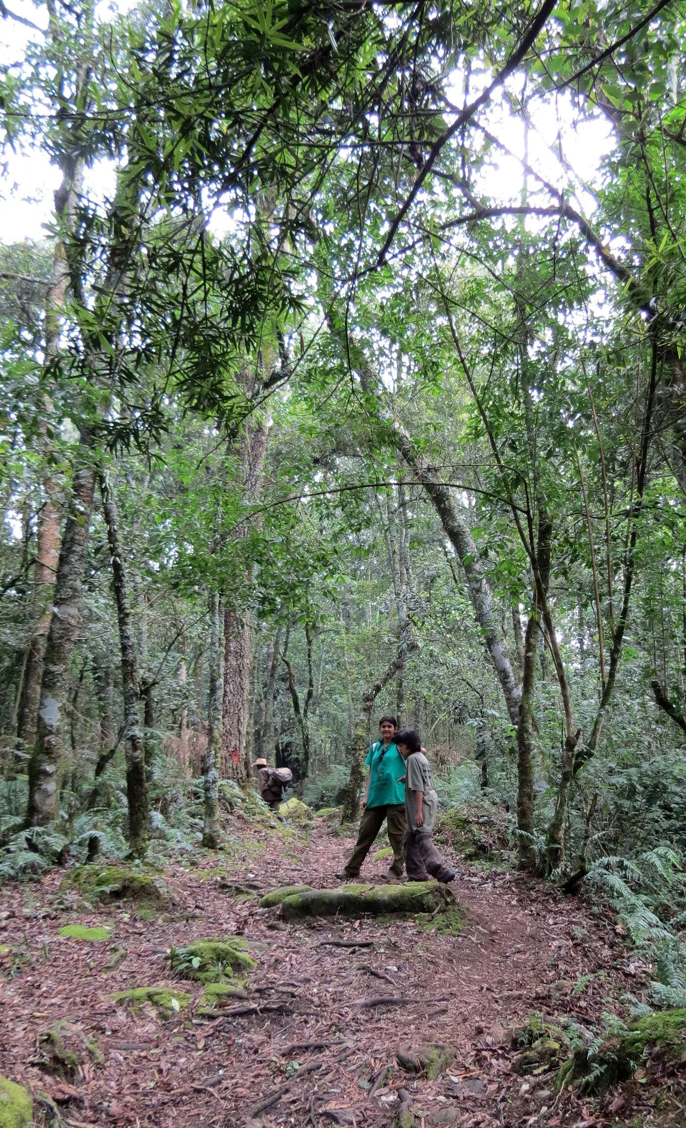 RWENZORI NATIONAL PARK UGANDA (41).JPG