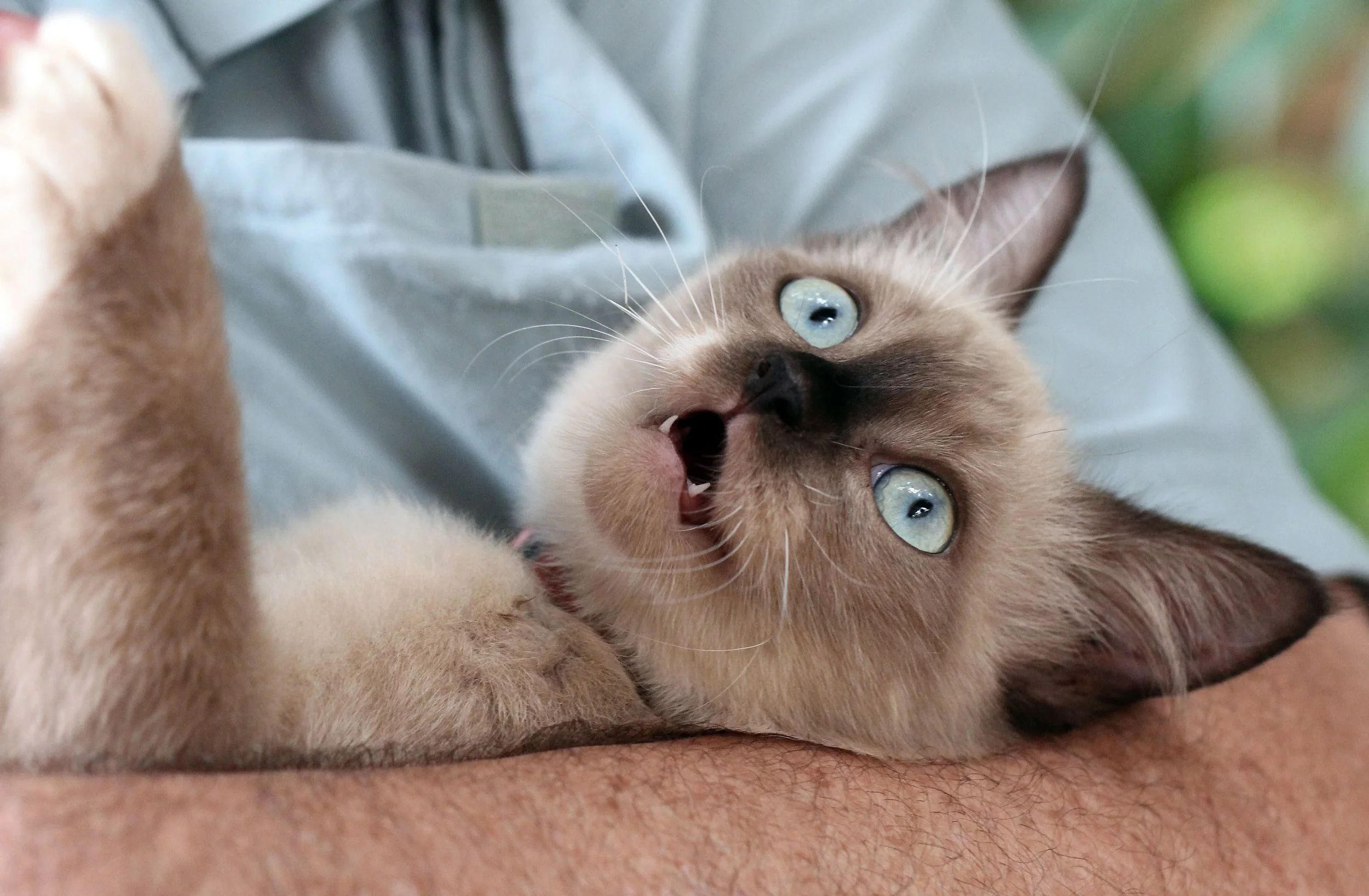 2015 Koh Lanta October Break Trip  (143).JPG