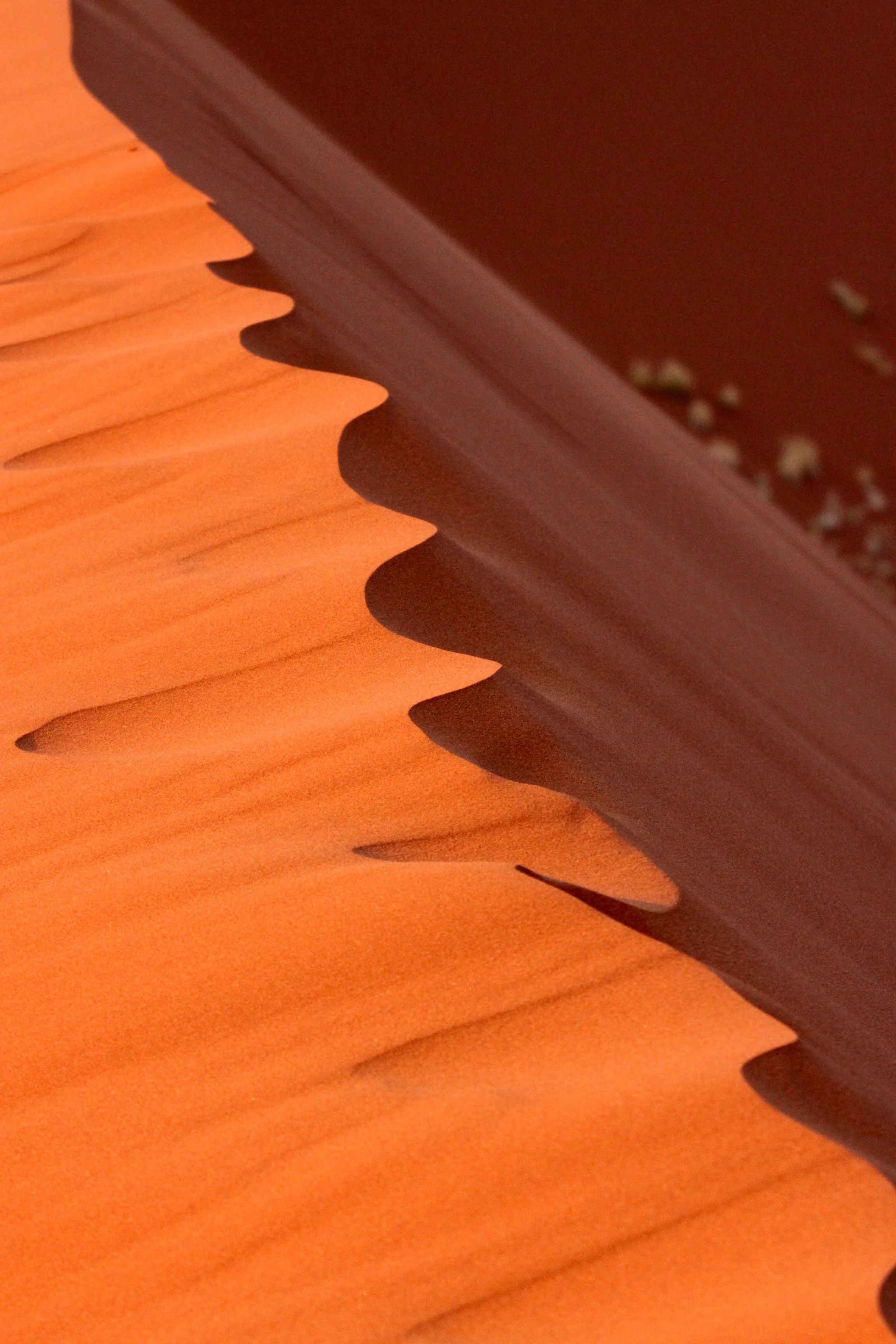 SOSSUSVLEI, NAMIB NAUKLUFT NATIONAL PARK, NAMIBIA - SUNRISE AT DUNE 45 (23).JPG