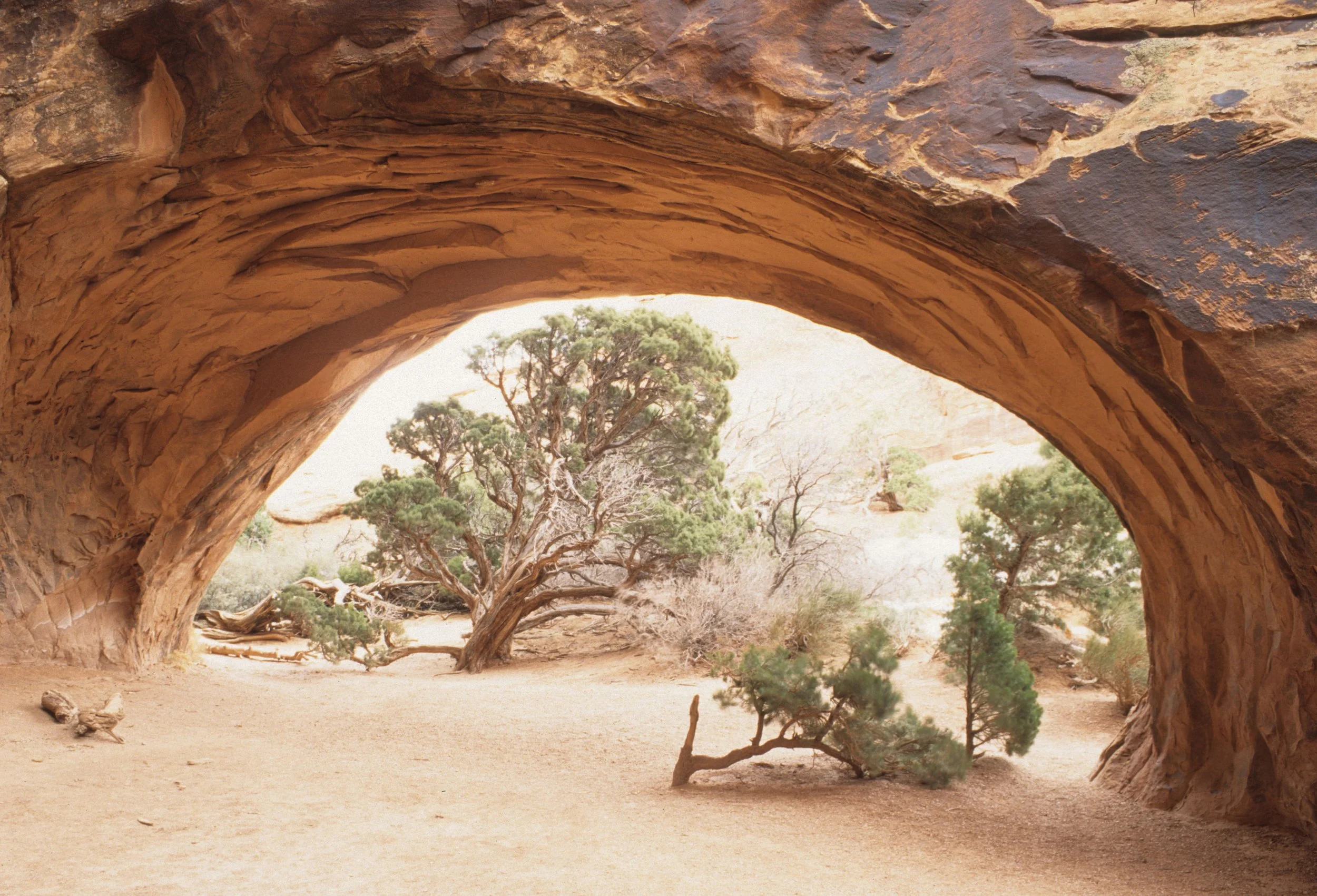 UTAH - ARCHES NATIONAL PARK.jpg