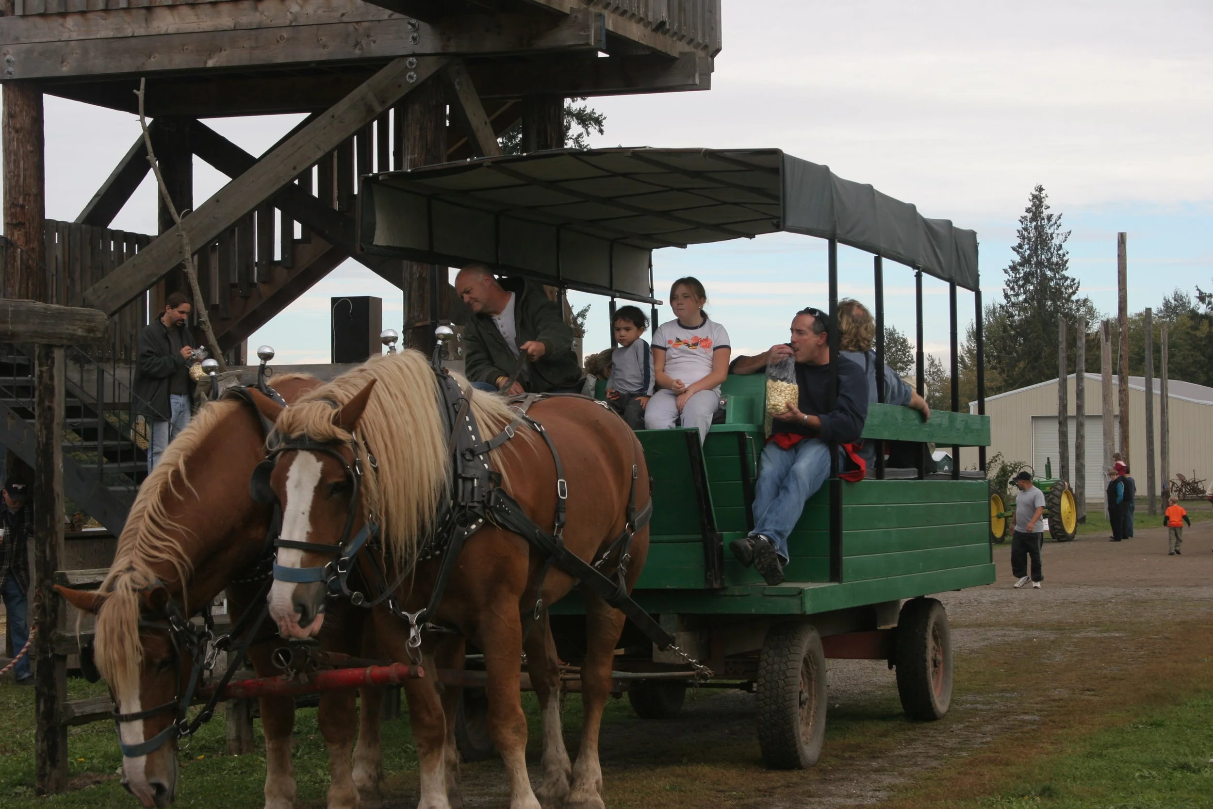 2005-10-9 PUMPKIN PATCH PORT ANGELES.JPG
