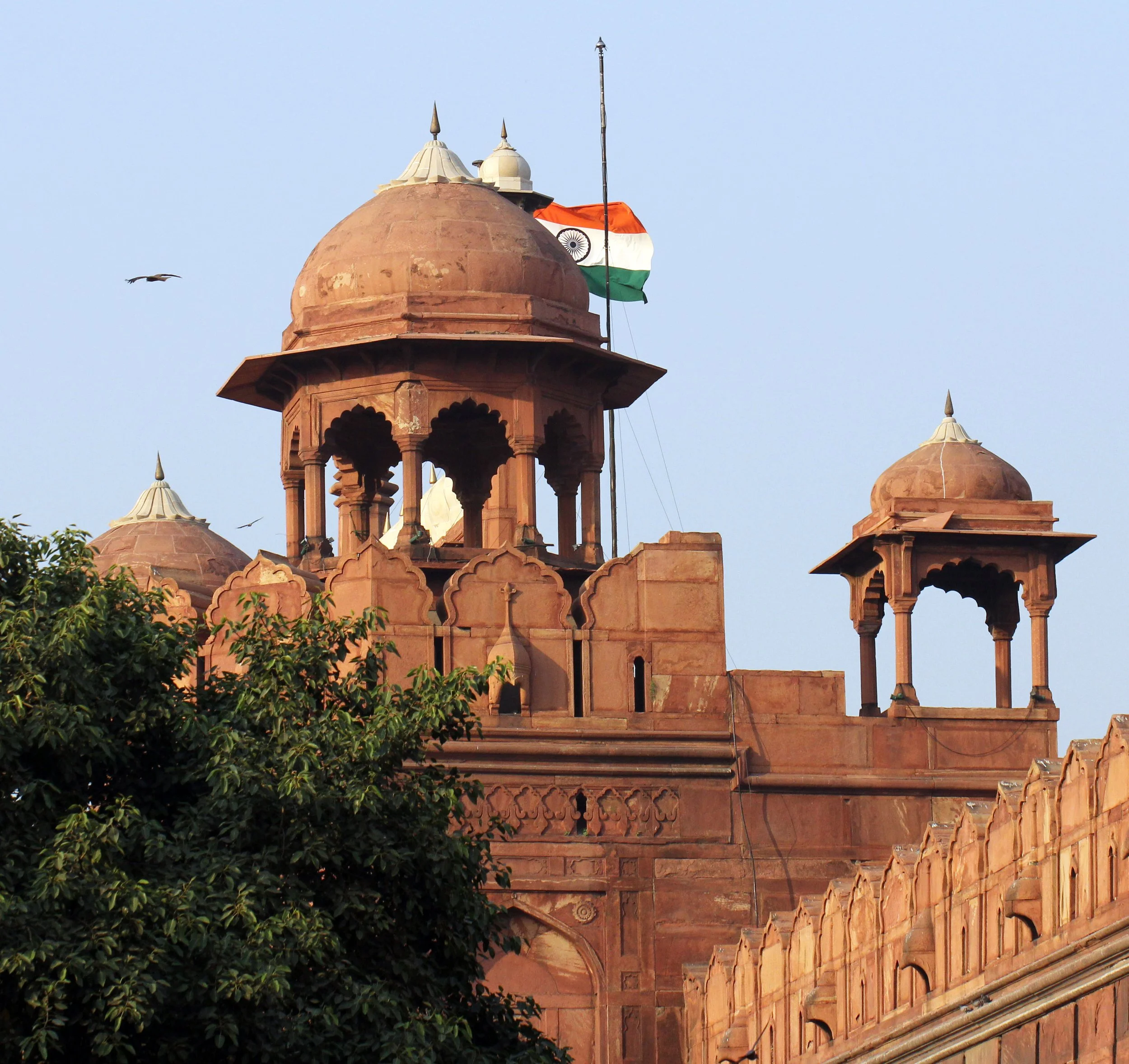 OLD DELHI INDIA - OCTOBER 2014 (19).JPG