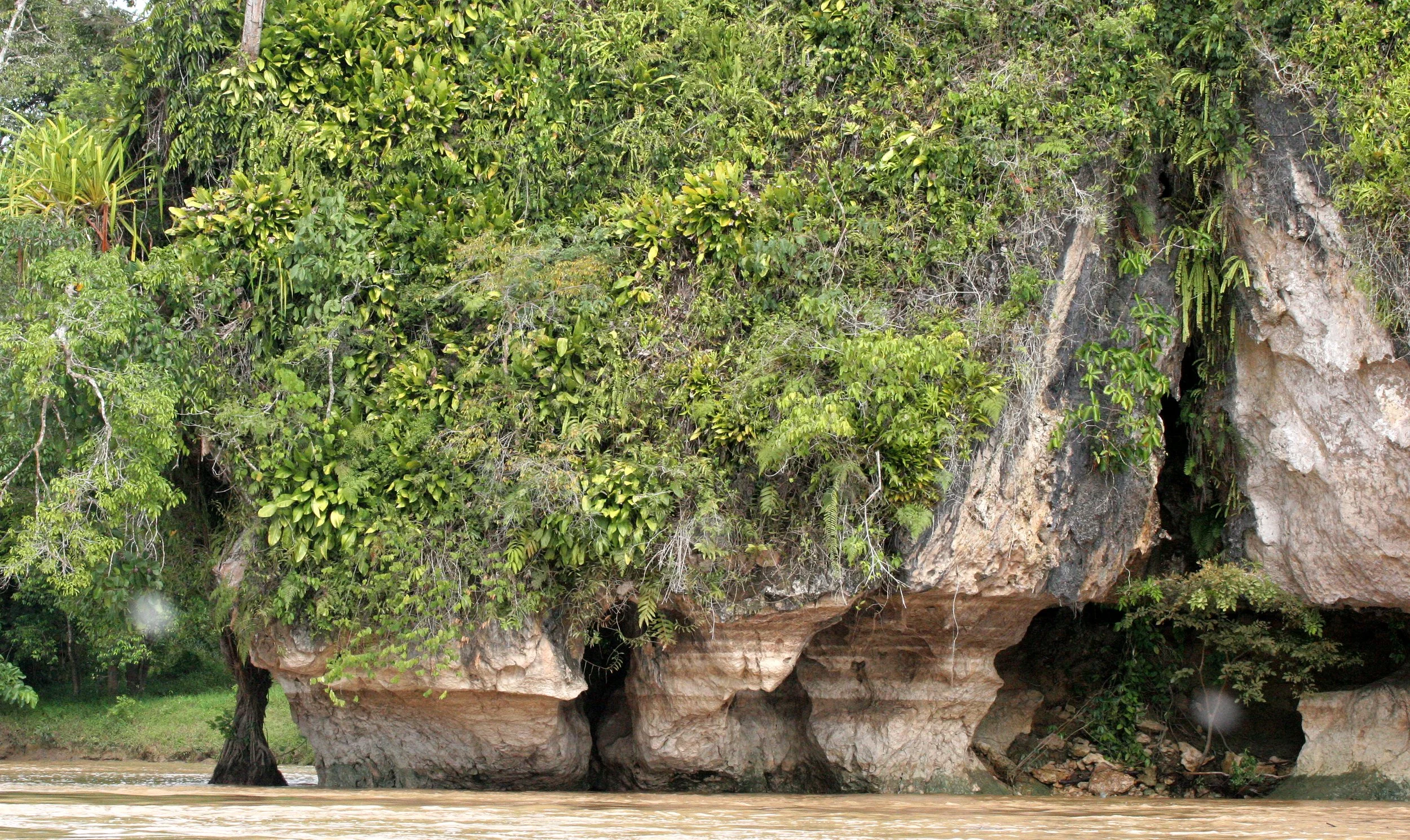 KINABATANGAN RIVER BORNEO - LIMESTONE CLIFFS (2).JPG