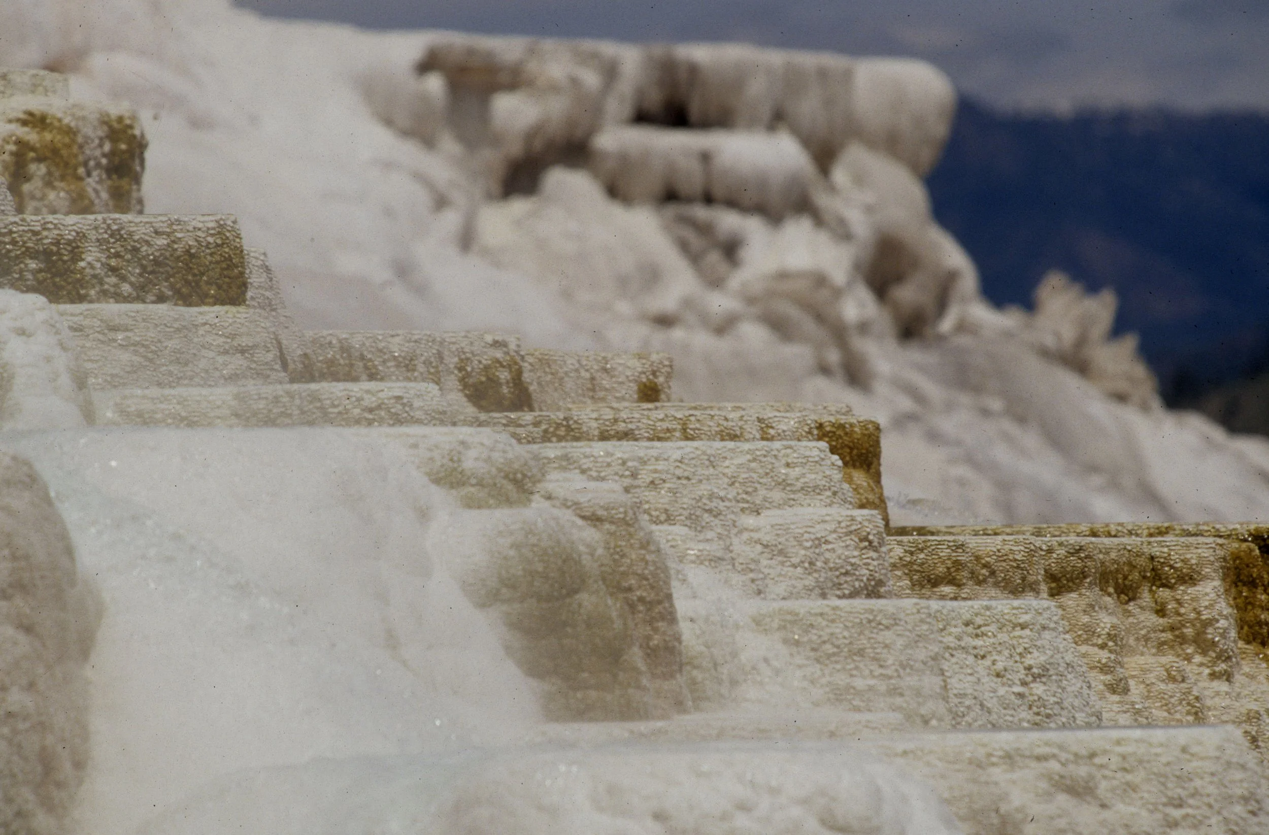 YELLOWSTONE - MAMMOTH HOTSPRINGS (2).jpg