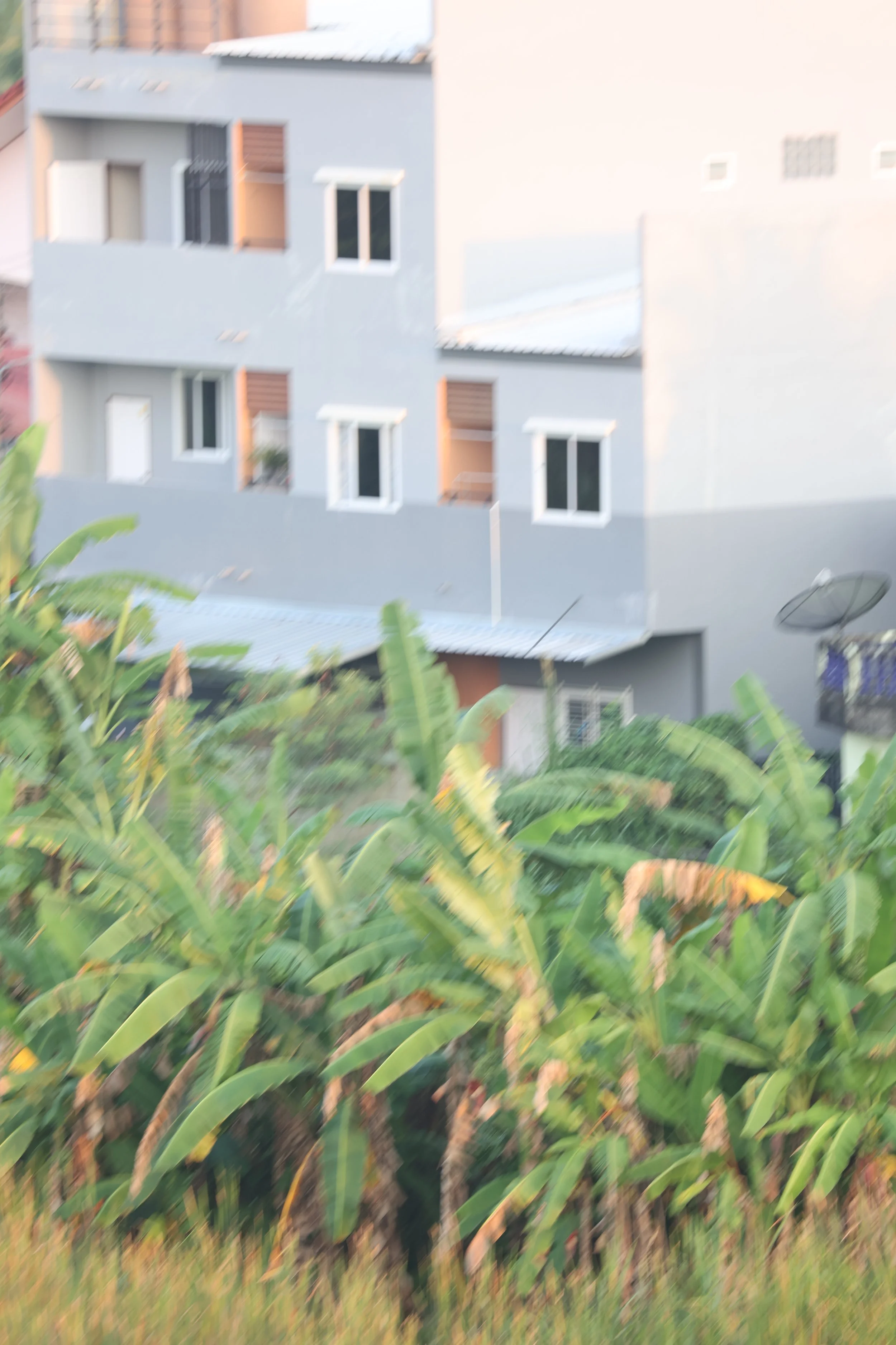 2022 Nakhonsithammarat Wat Mahatat and City Scenes with Cokie (5).JPG