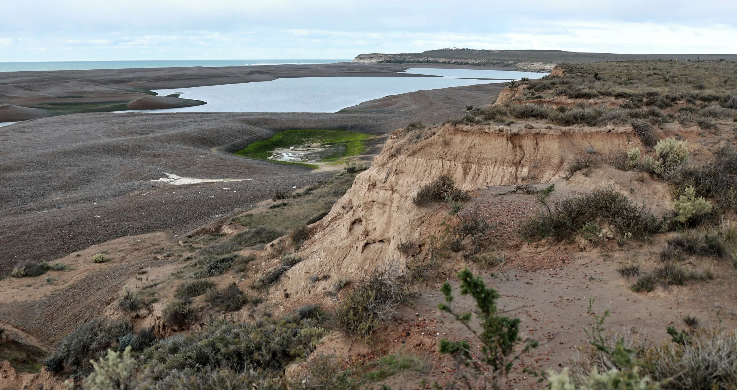 Valdes Peninsula, Chubut Province, Argentina (12).jpg