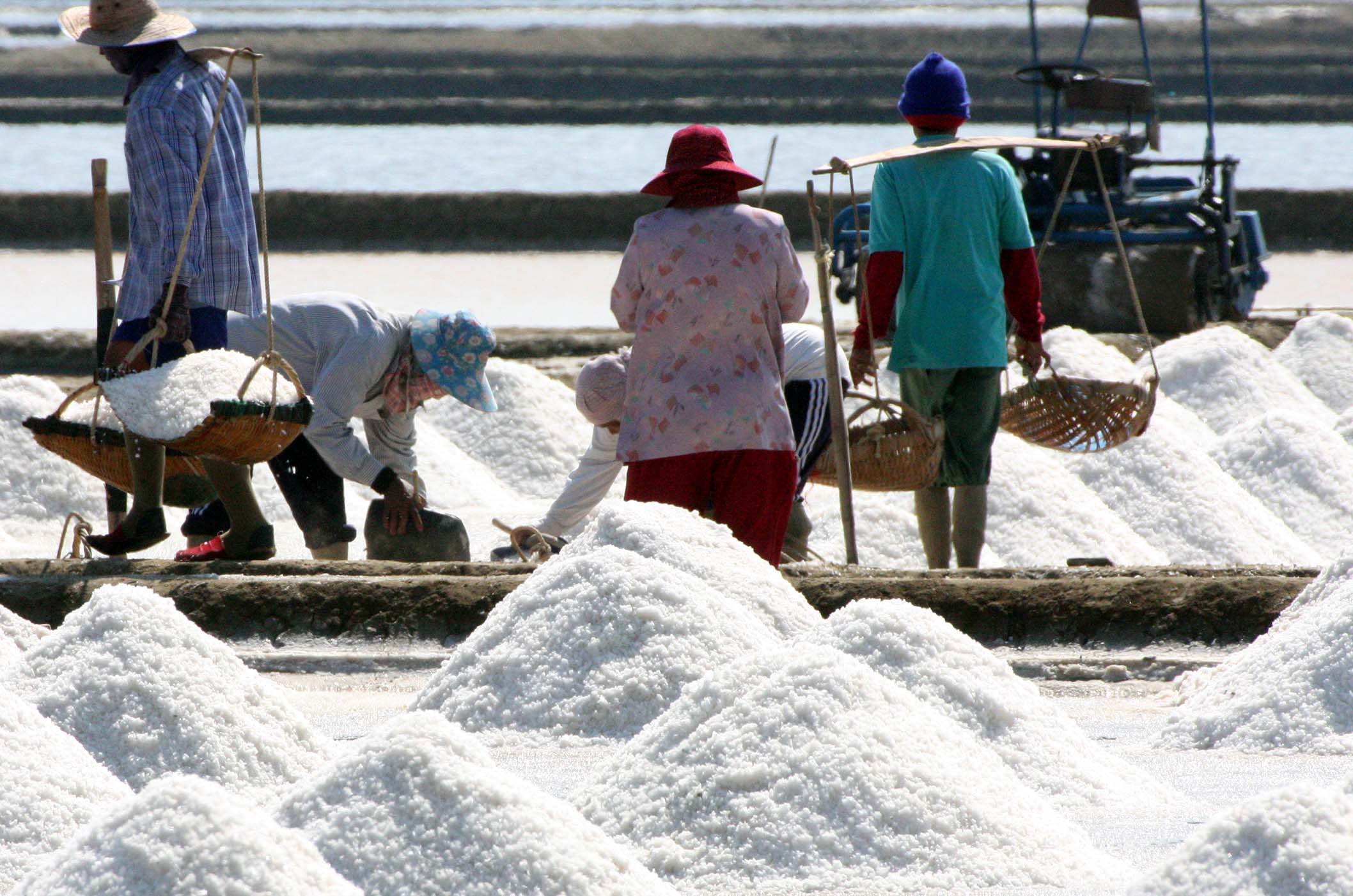 2009 Samut Songkran Salt & Shrimp in Ponds (2).JPG