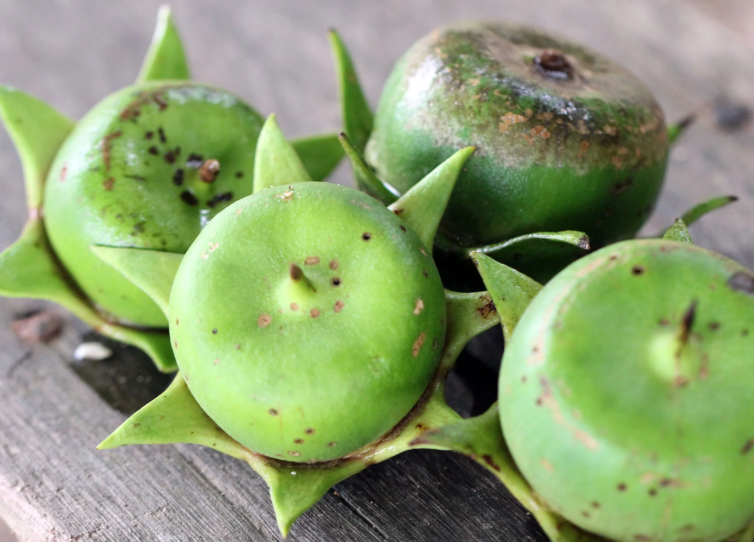 2015 Koh Lanta October Break Trip  (114).JPG