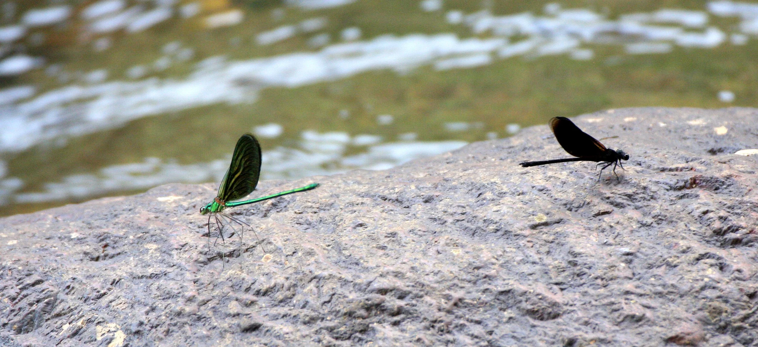 Promluk Waterfalls, Nakhonsithammarat, Thailand