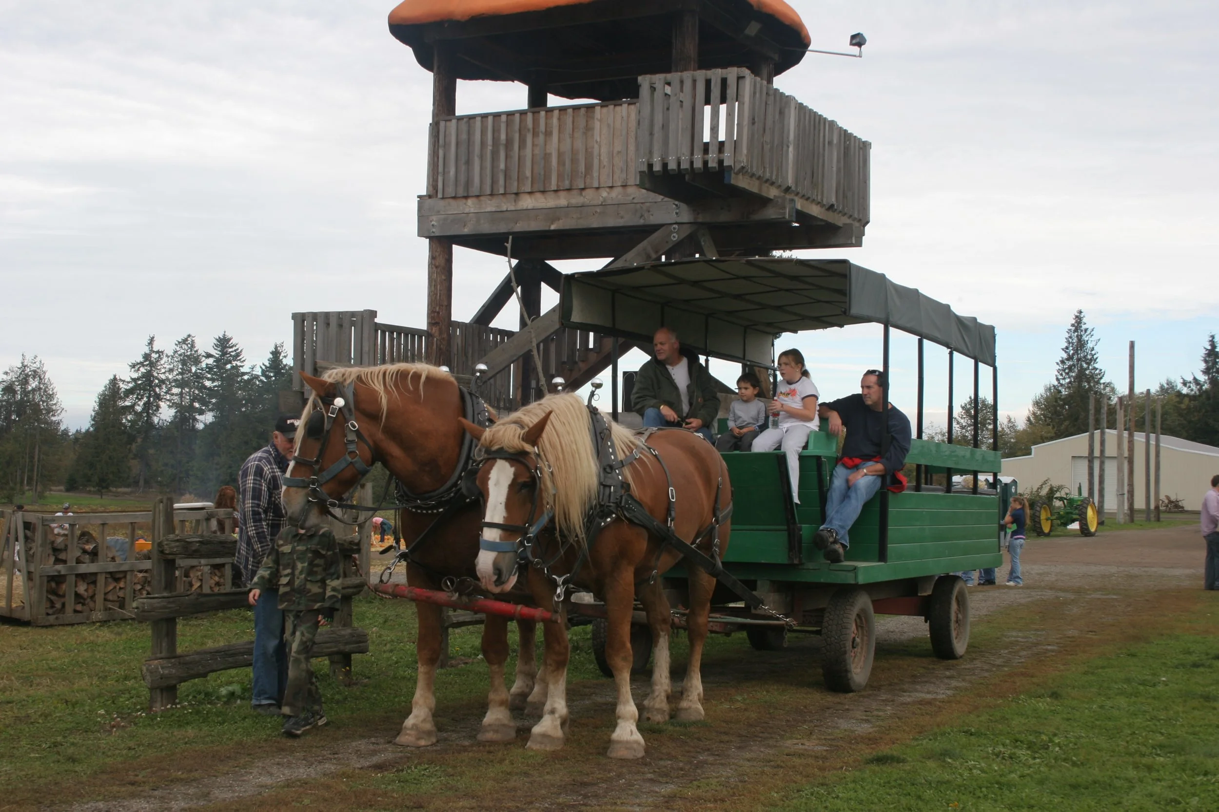 2005-10-9 PUMPKIN PATCH PORT ANGELES (6).JPG