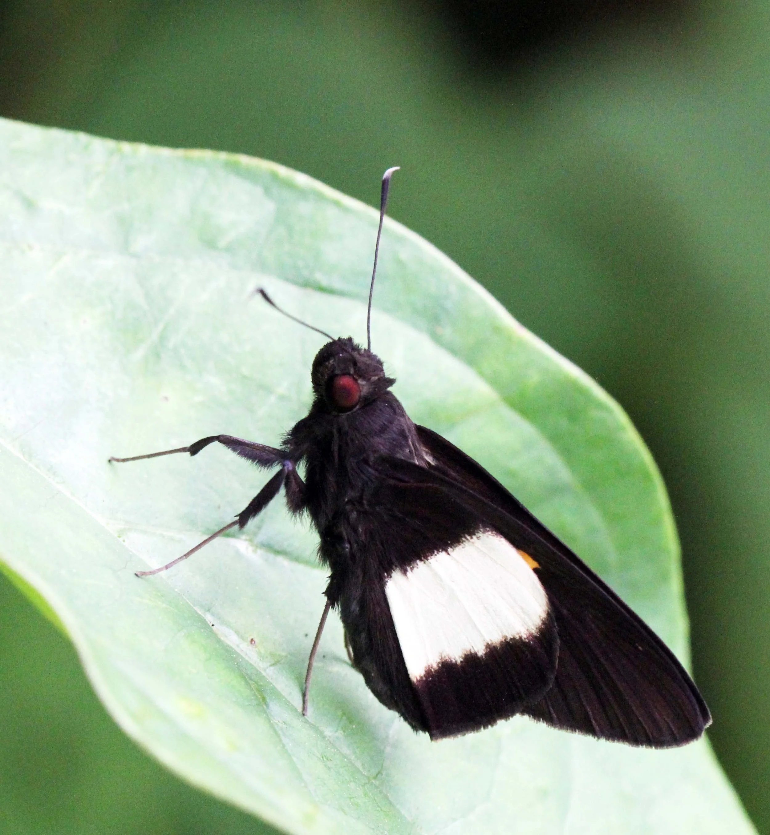 2013 KOH LANTA - OCTOBER BREAK 2013 (282).JPG