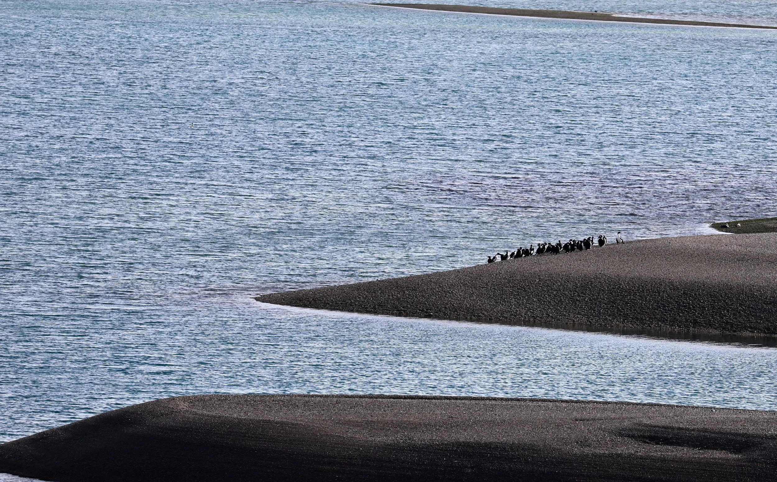 Valdes Peninsula, Chubut Province, Argentina Day 2 (270).jpg