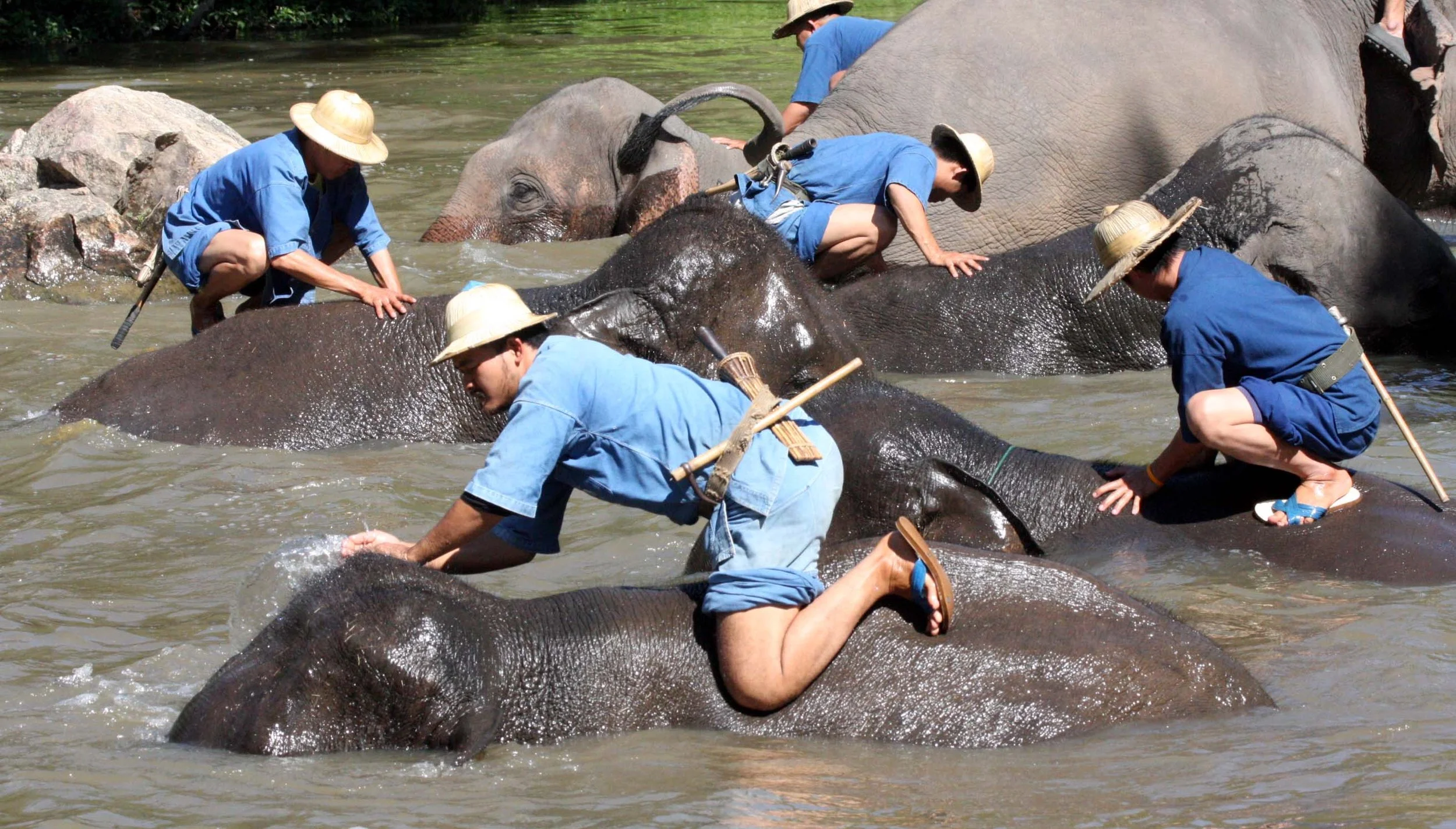 2008 Lampang City & Elephant Center (80).JPG