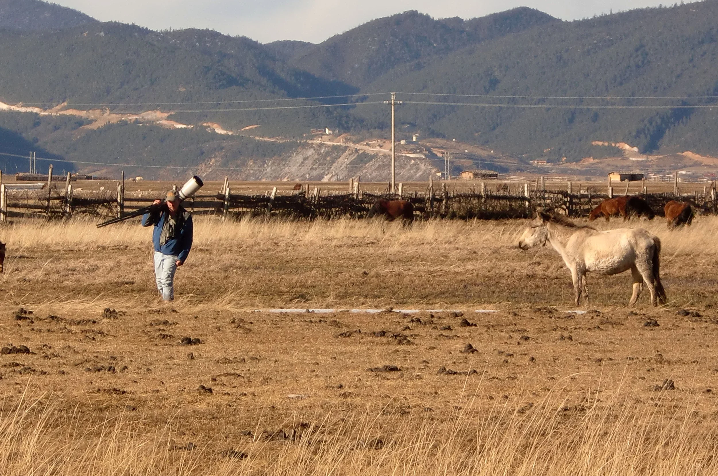 YUNNAN - NAPAHAI WETLANDS RESERVE (10).JPG