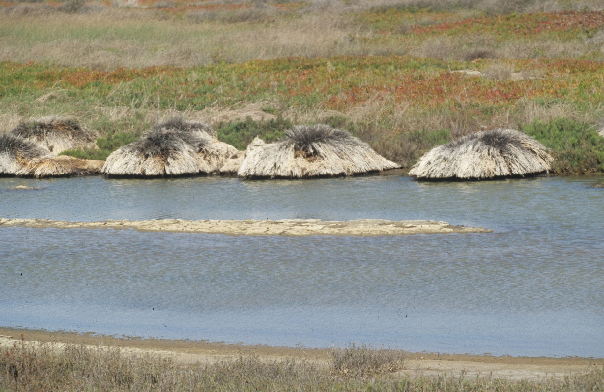 CALIFORNIA - TOMALES BAY POINT REYES.jpg